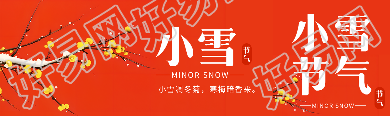 小雪节气黄色蜡梅唯美景色公众号封面图
