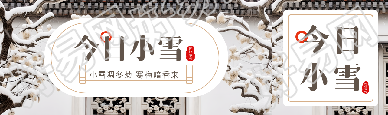 小雪凋冬菊寒梅暗香来实景宣传公众号封面图