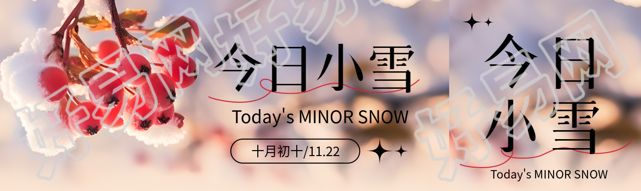 唯美红浆果实景今日小雪公众号封面图