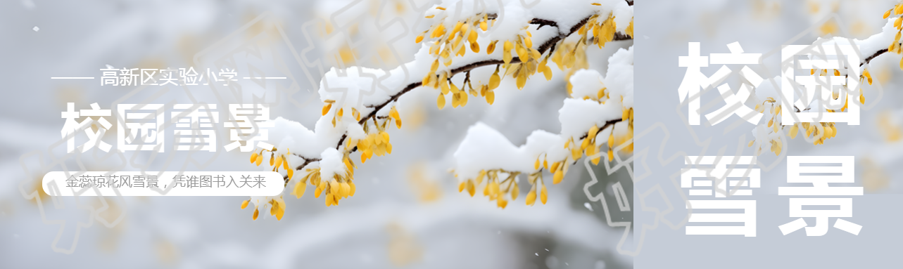 校园雪景唯美树枝公众号封面图