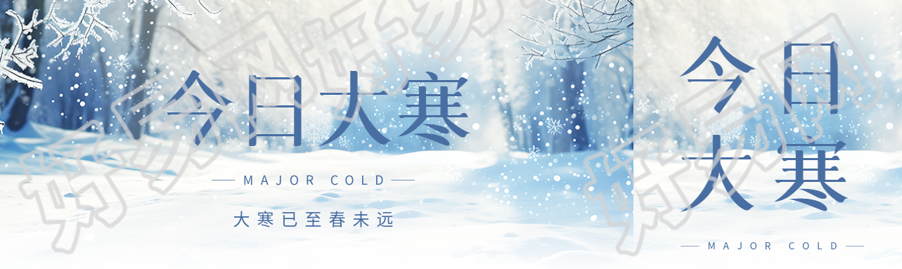 今日大寒雪中森林实景公众号封面图
