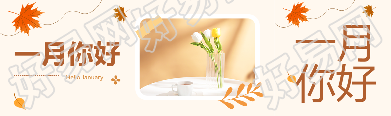 一月你好鲜花实景公众号封面图