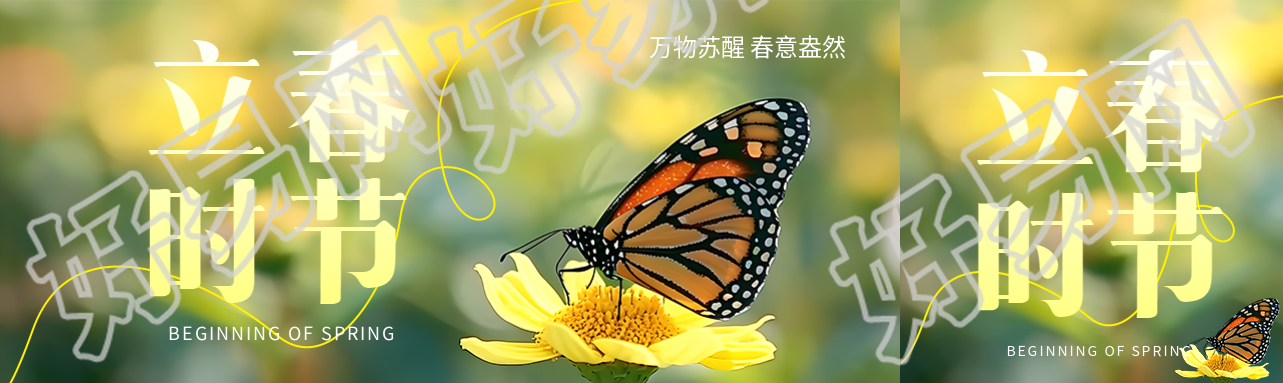 立春时节蝴蝶实景公众号封面图