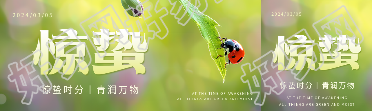 惊蛰时节瓢虫实景公众号封面图