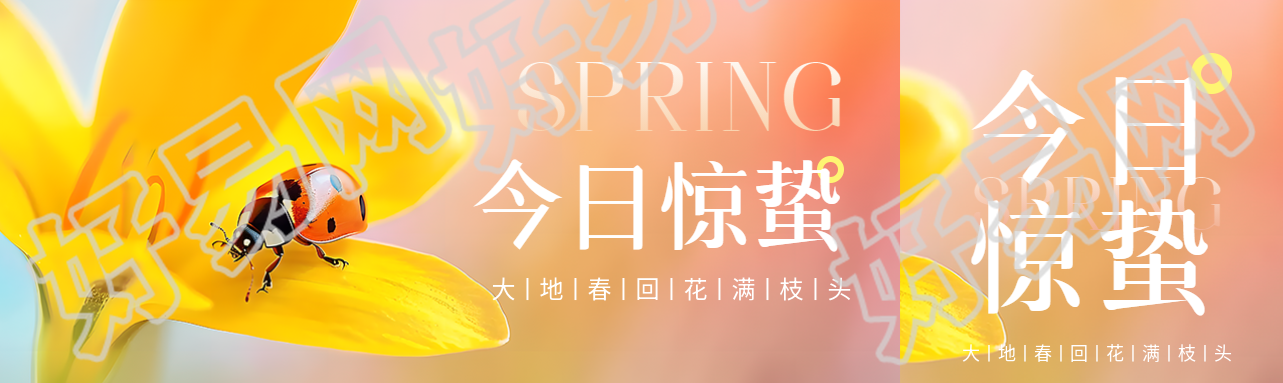 今日惊蛰唯美鲜花公众号封面图