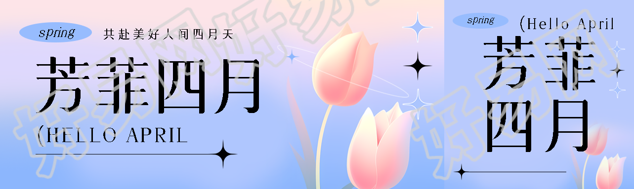 芳菲四月唯美郁金香公众号封面图