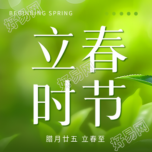 立春时节绿叶实景微信公众号次图