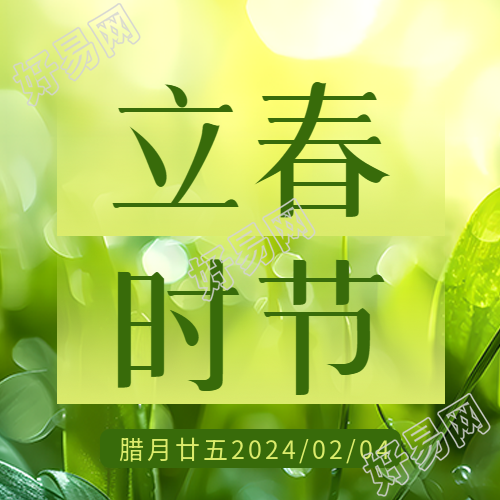 立春时节绿色光影微信公众号次图