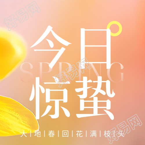 今日惊蛰弥散风微信公众号次图