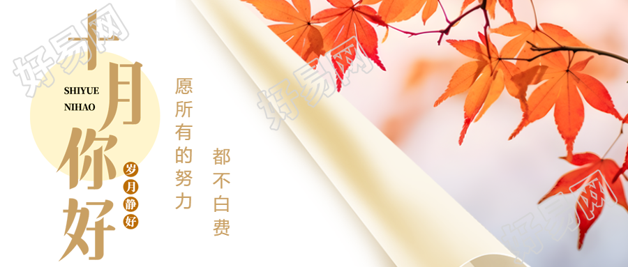 创意卷轴红枫叶实景遇见十月微信公众号首图