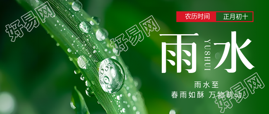 雨水节气春意盎然微信公众号首图