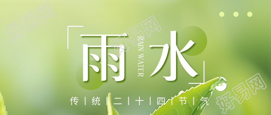 雨水节气绿叶实景微信公众号首图