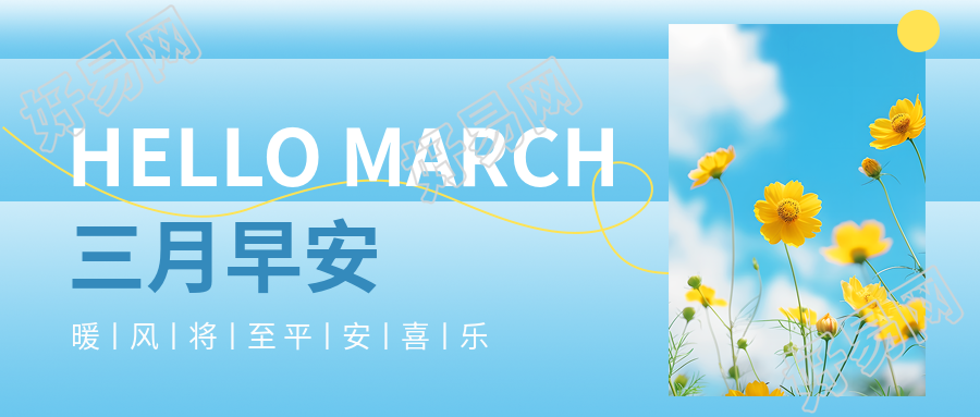 三月早安格桑花实景微信公众号首图