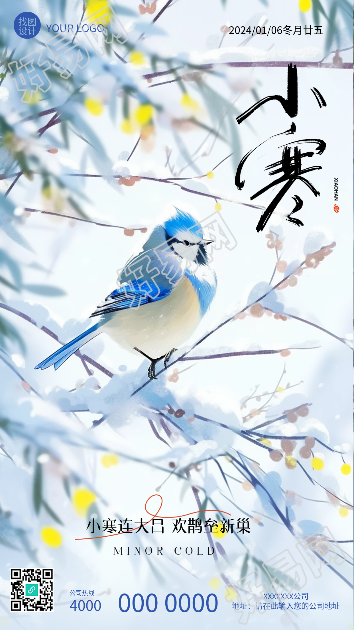 小寒24节气雪中鸟儿卡通手机海报