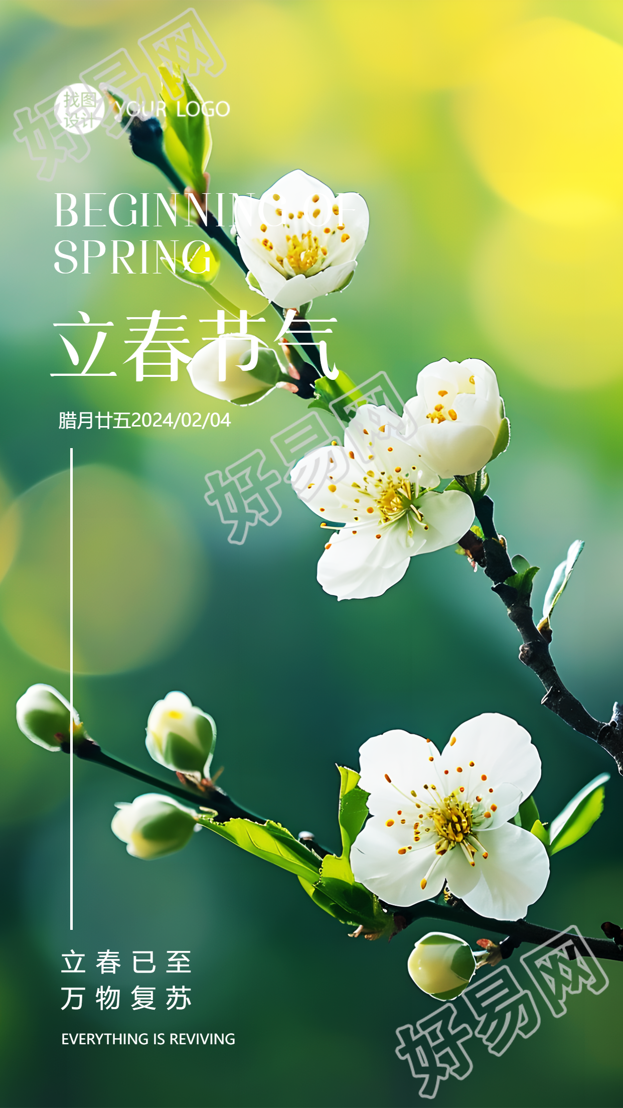 立春节气花朵实景宣传手机海报