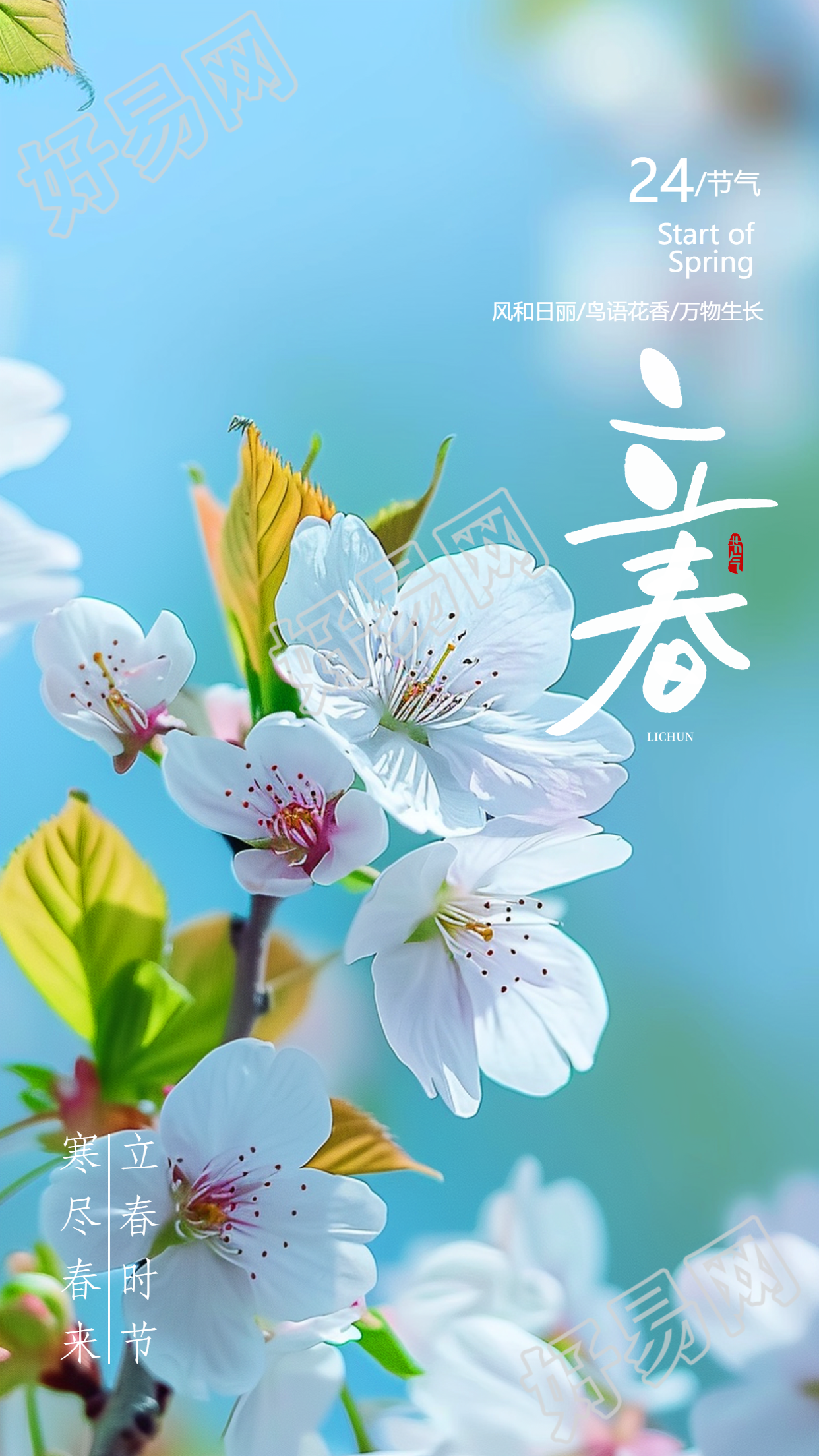 24节气立春桃花实景手机海报