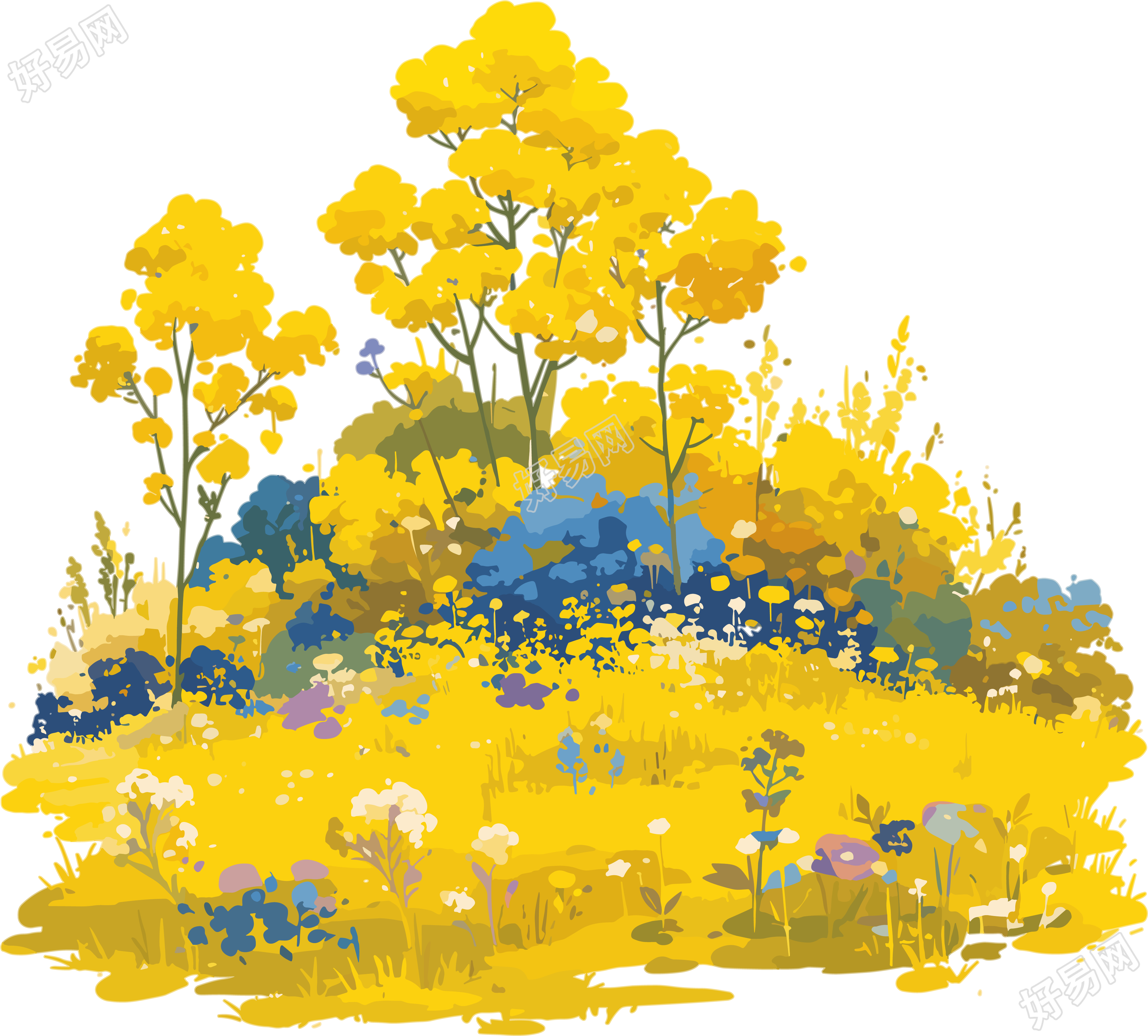 油菜花透明背景素材