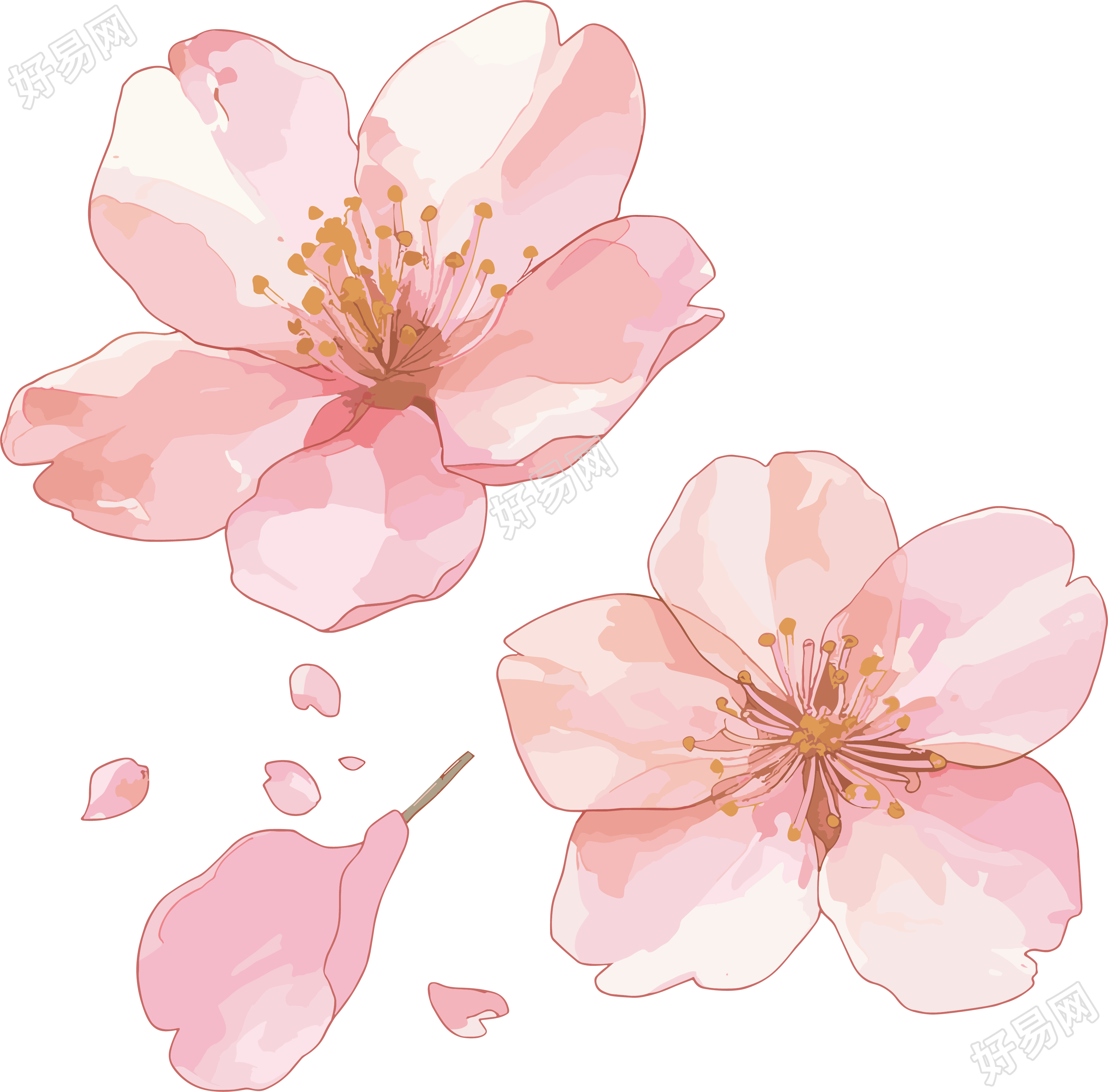 樱花花瓣插画设计元素