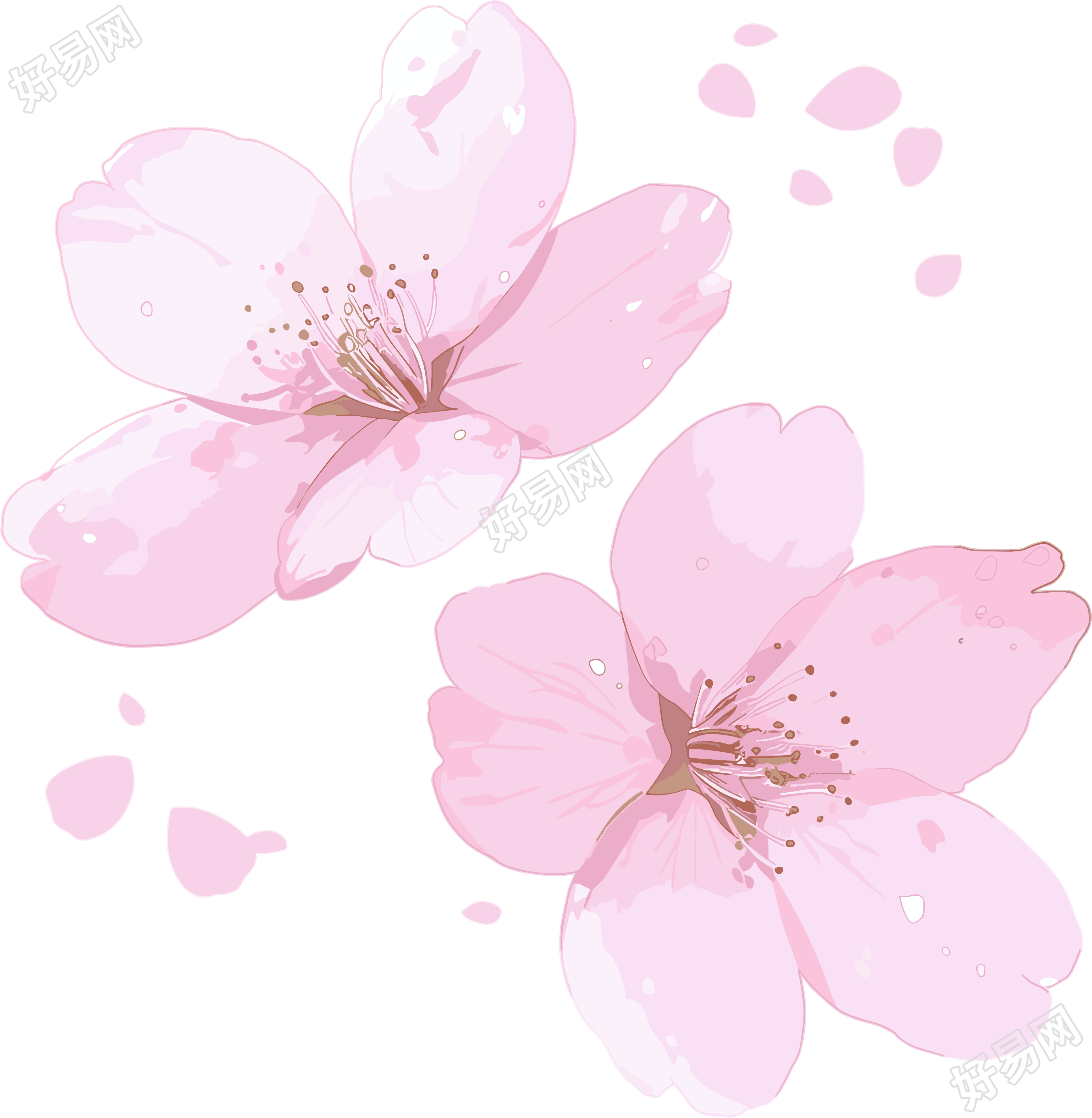 樱花花瓣图案素材