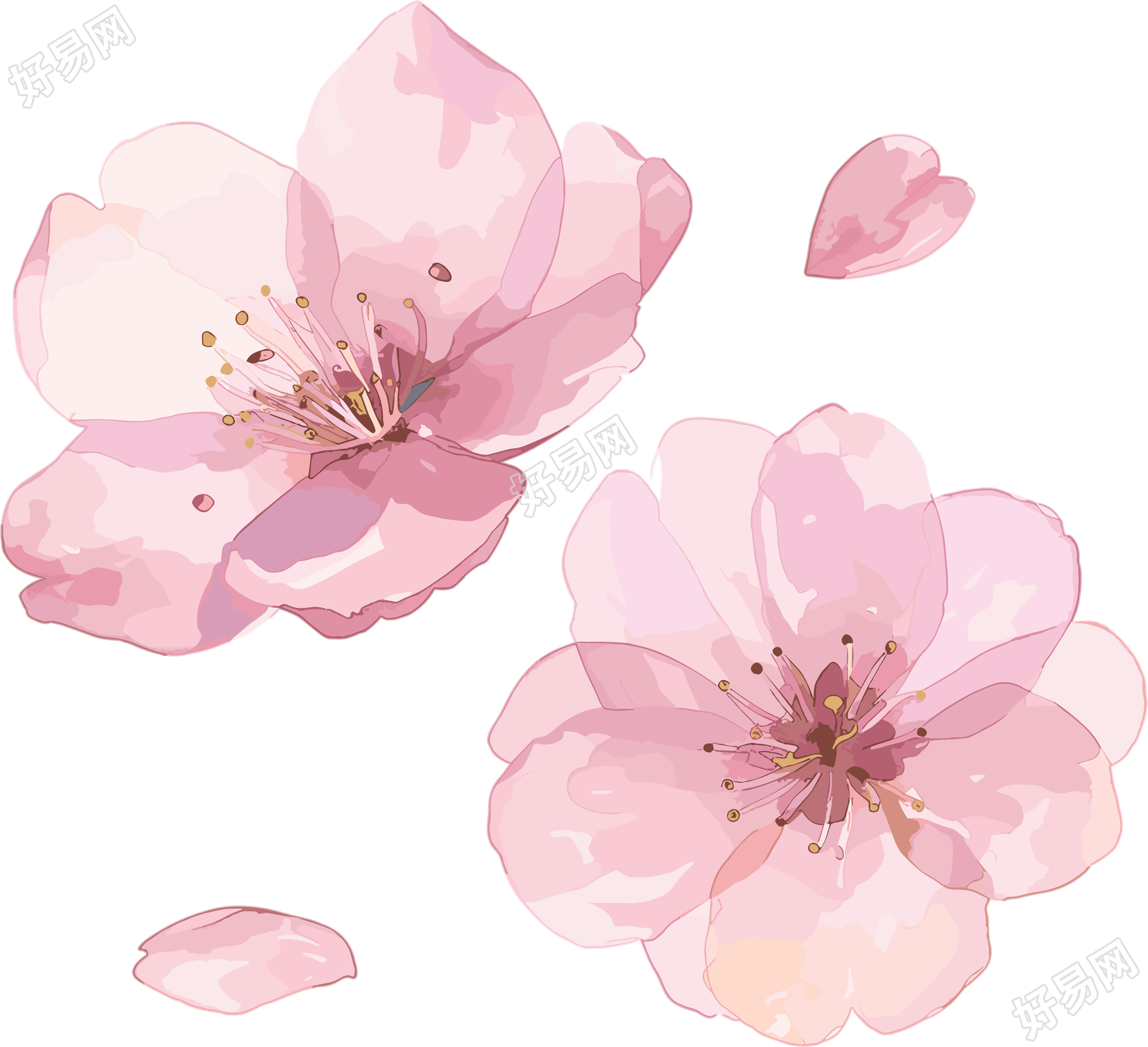 樱花花瓣创意PNG素材