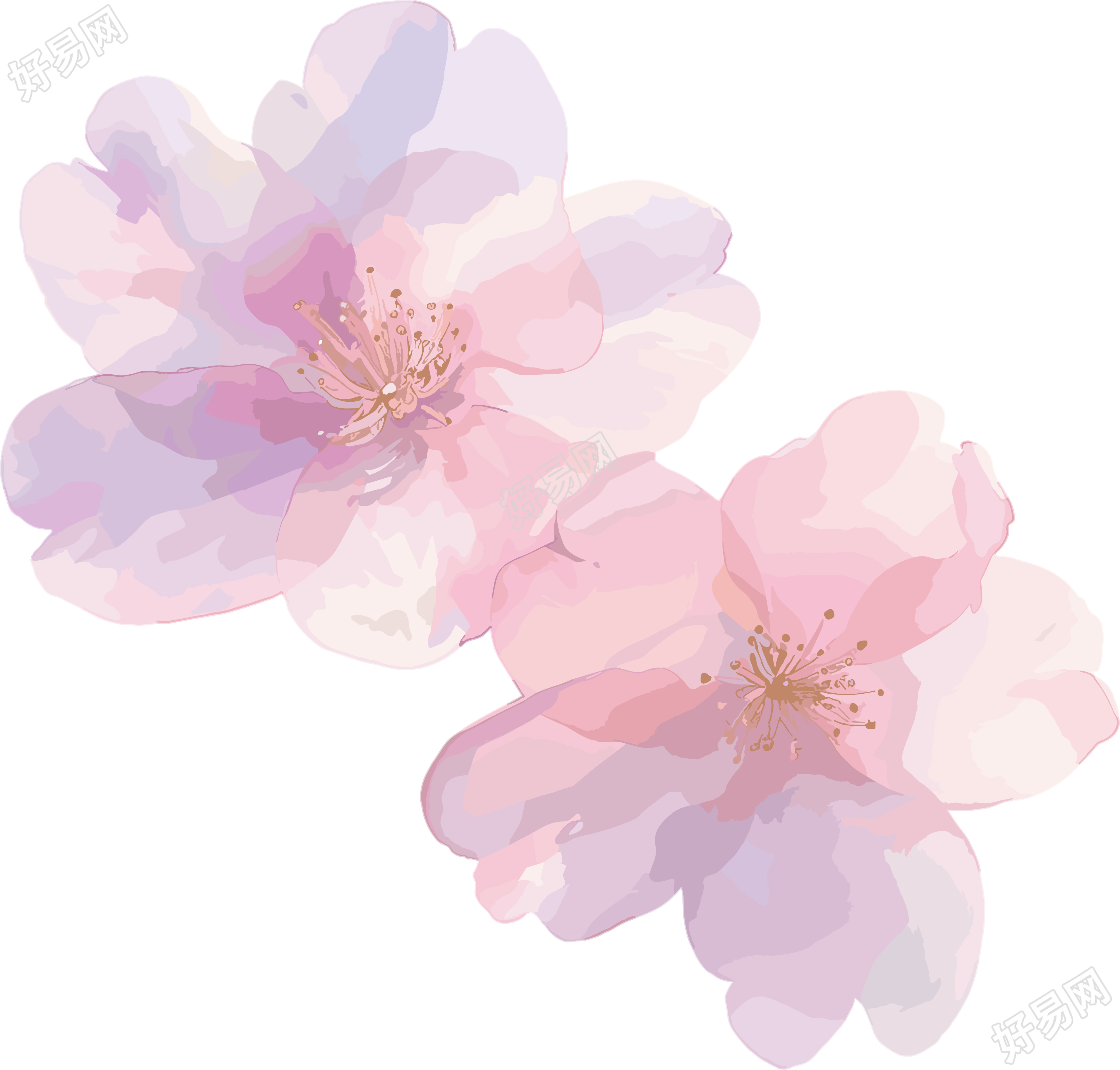 樱花花瓣水墨插图