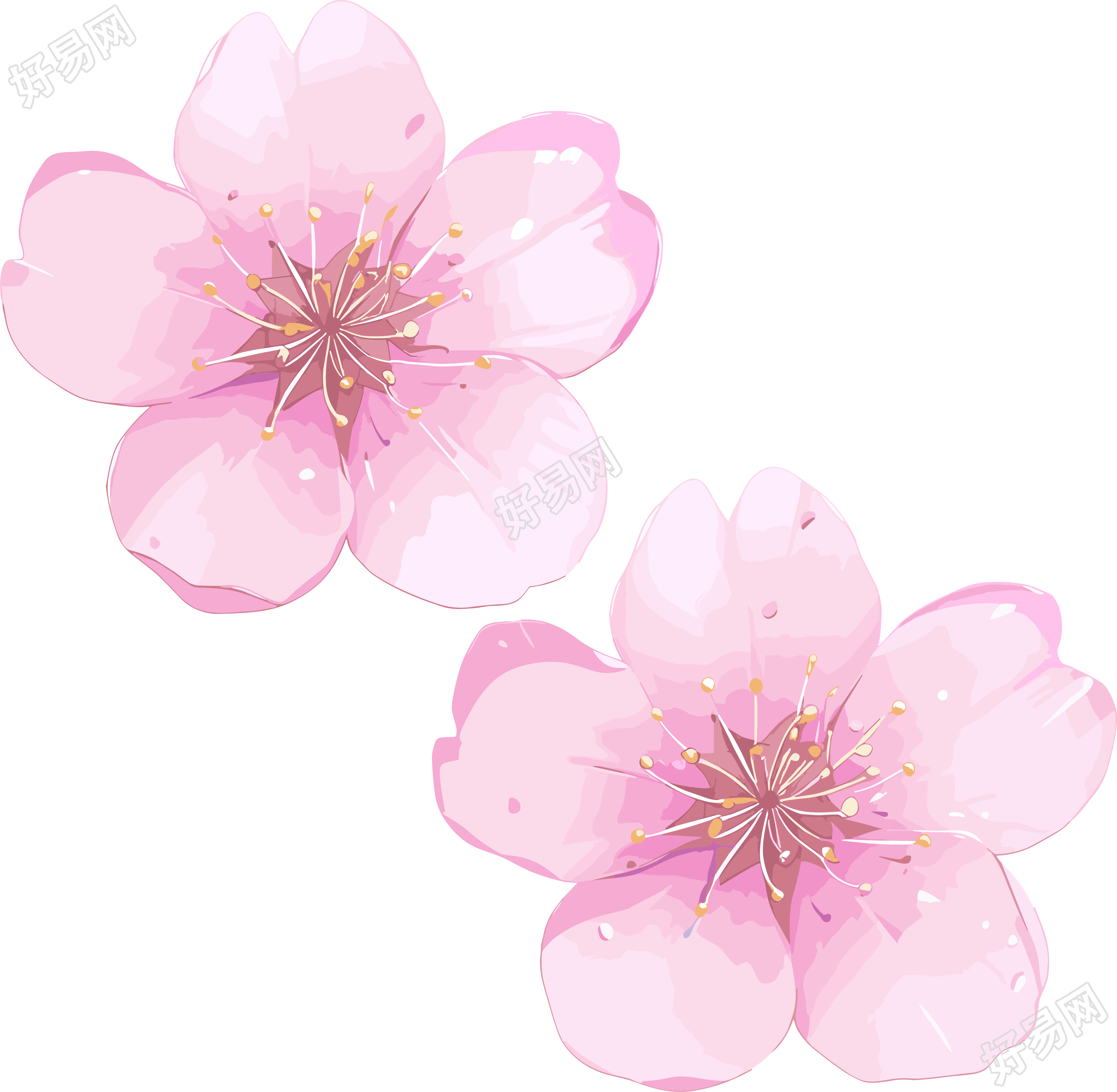 樱花花瓣3D可商用素材