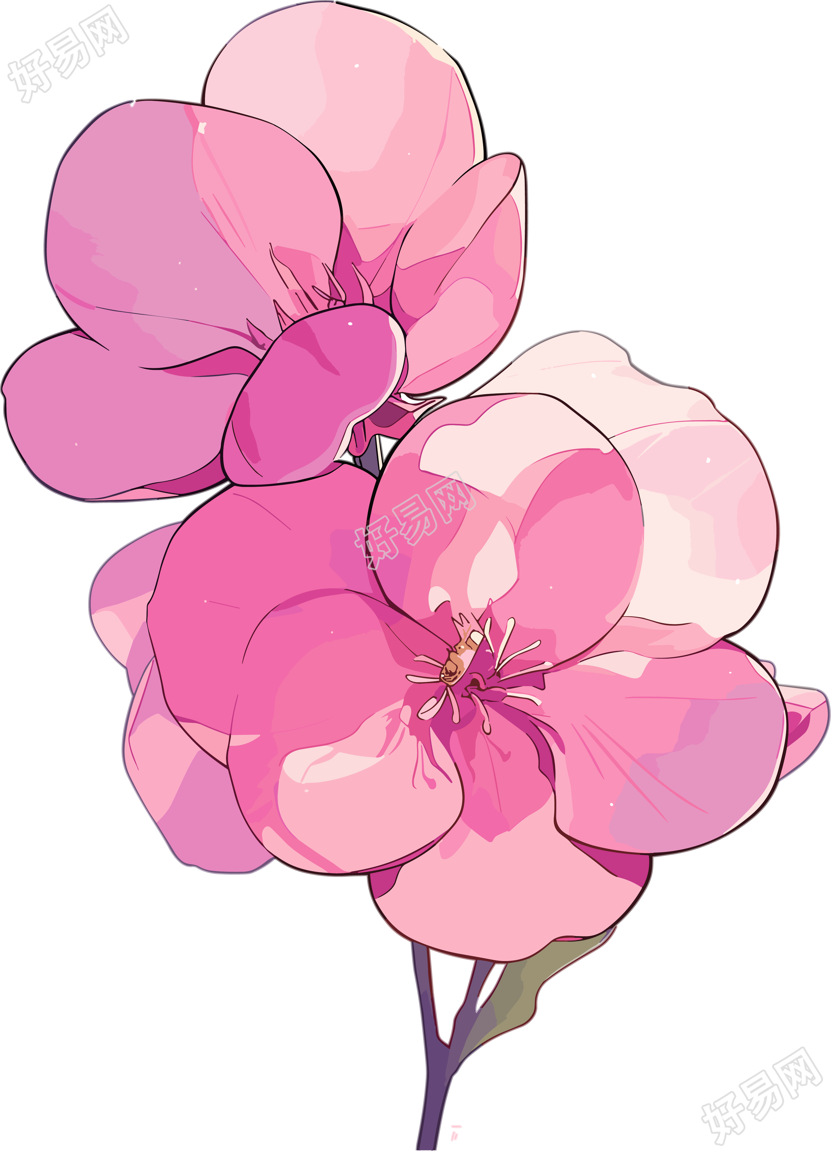 简约花卉设计素材