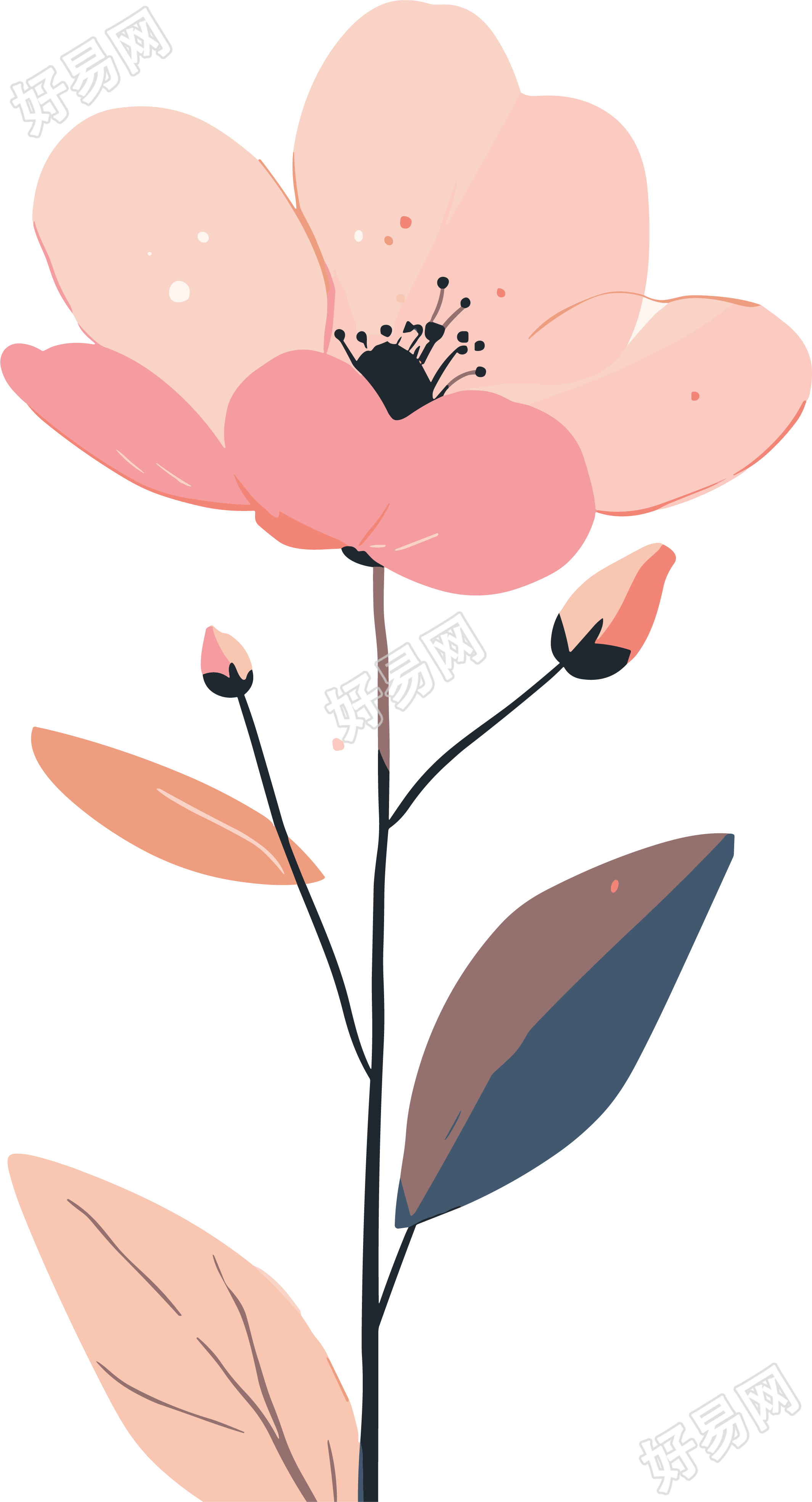 简约花卉平面素材