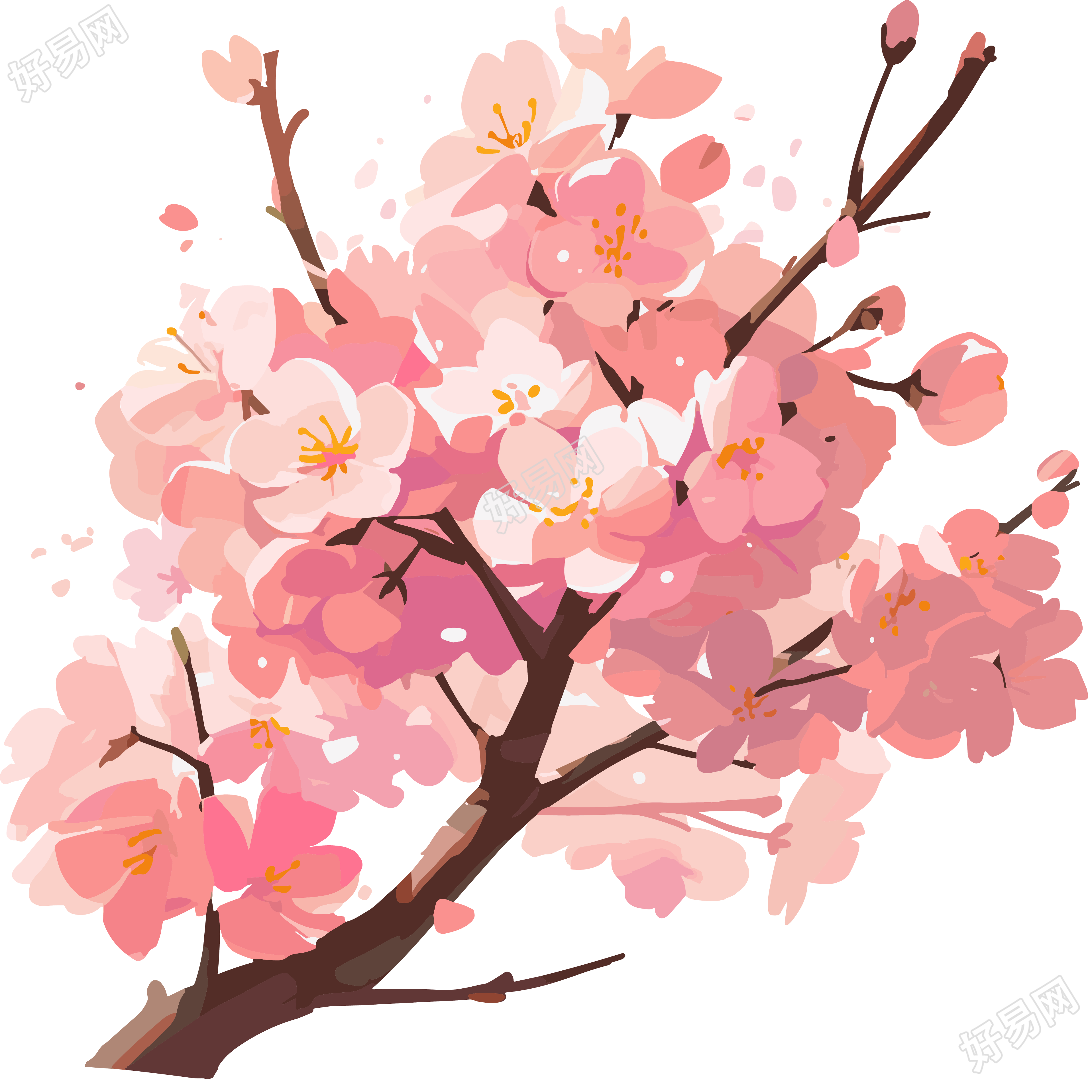 粉色樱花插画素材