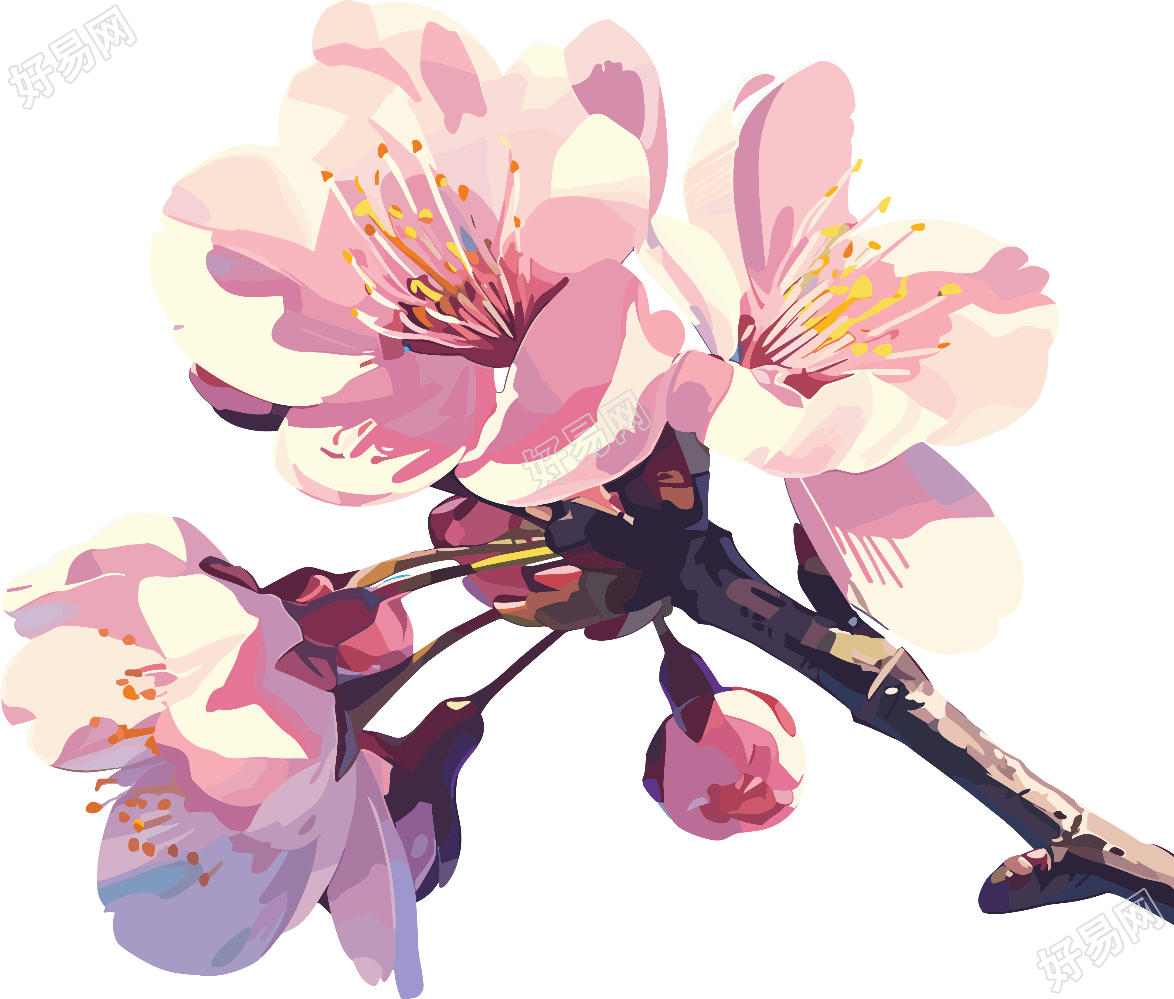粉色樱花PNG插图