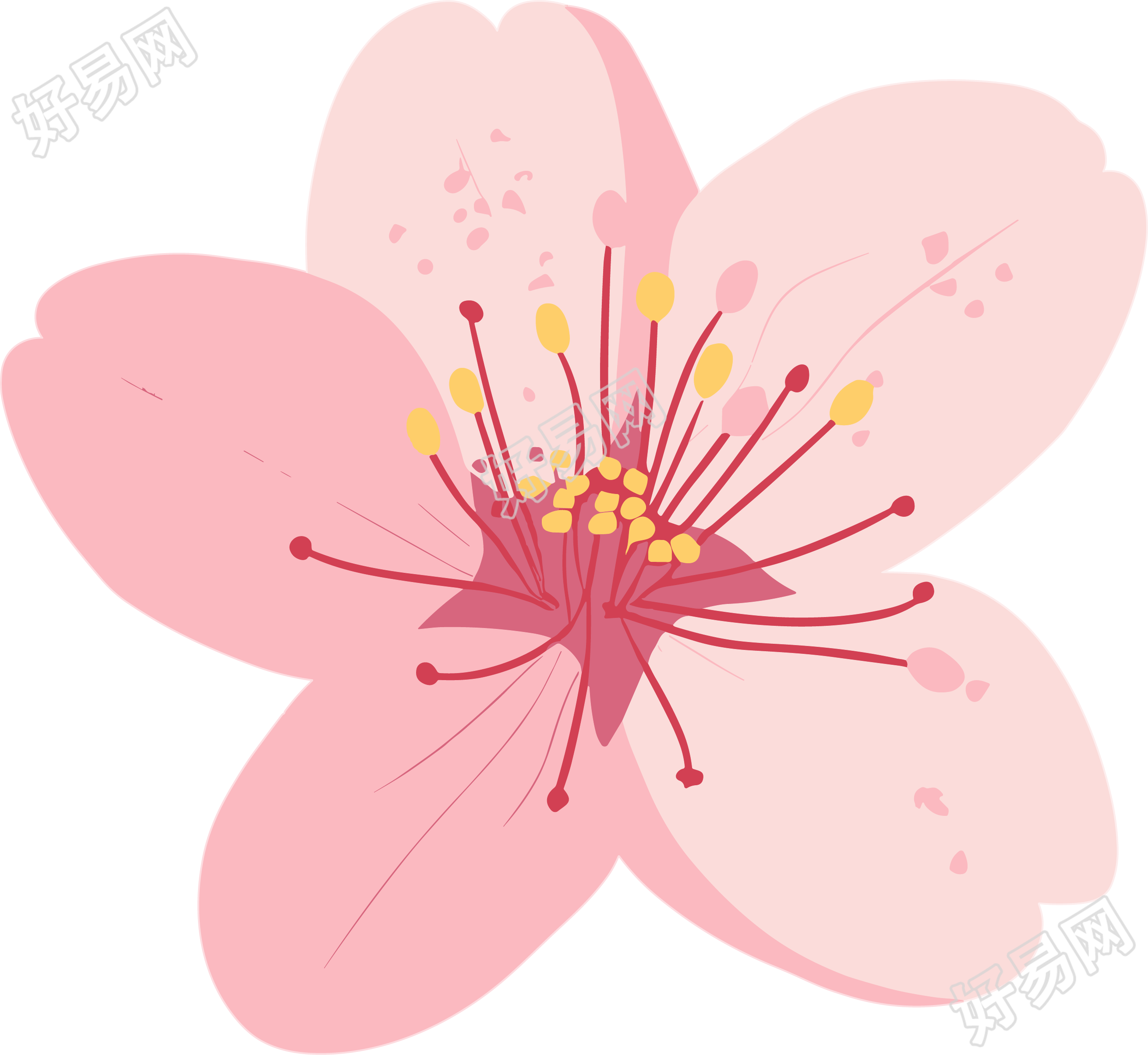 粉色樱花商用插画