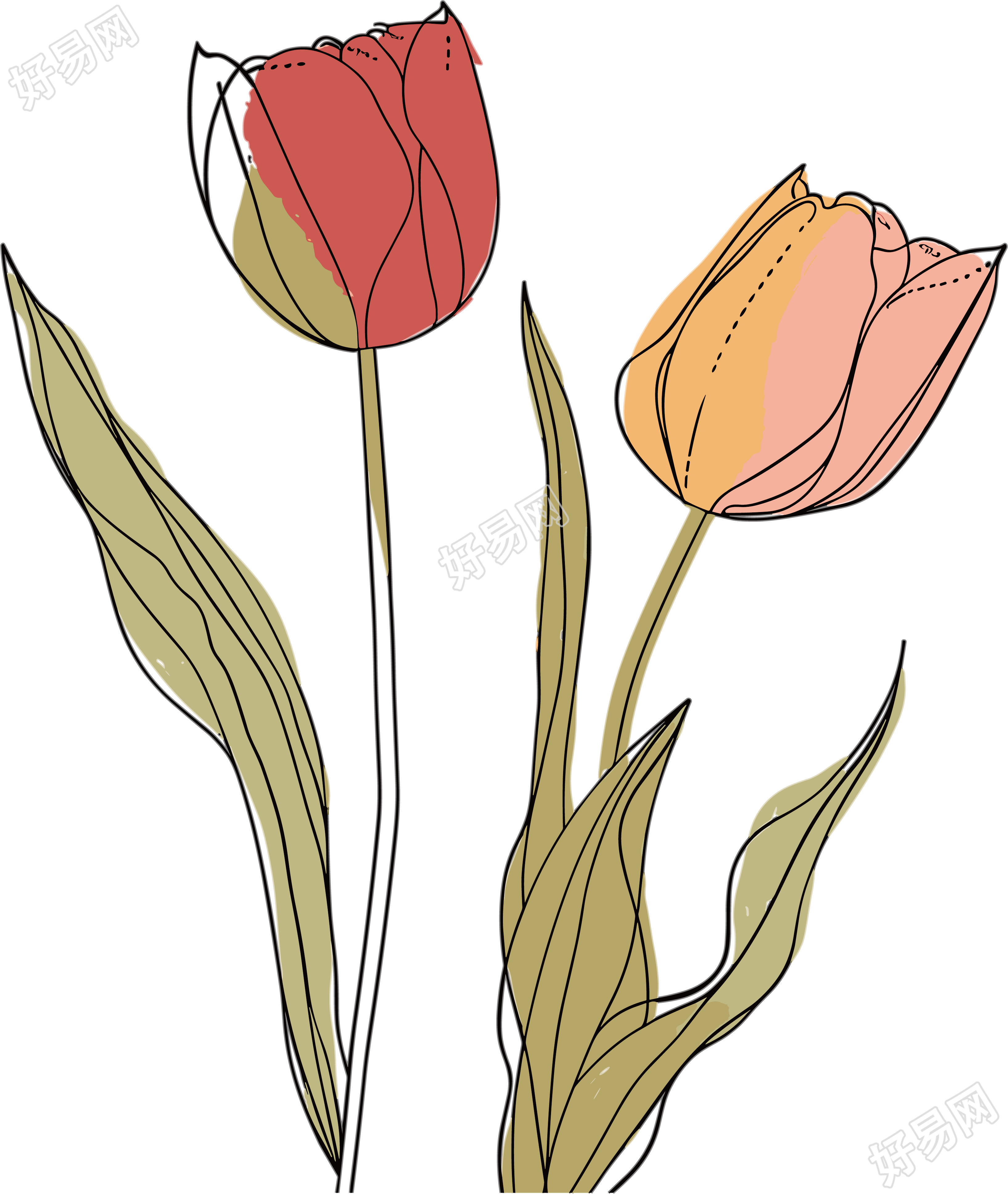 抽象植物插画设计
