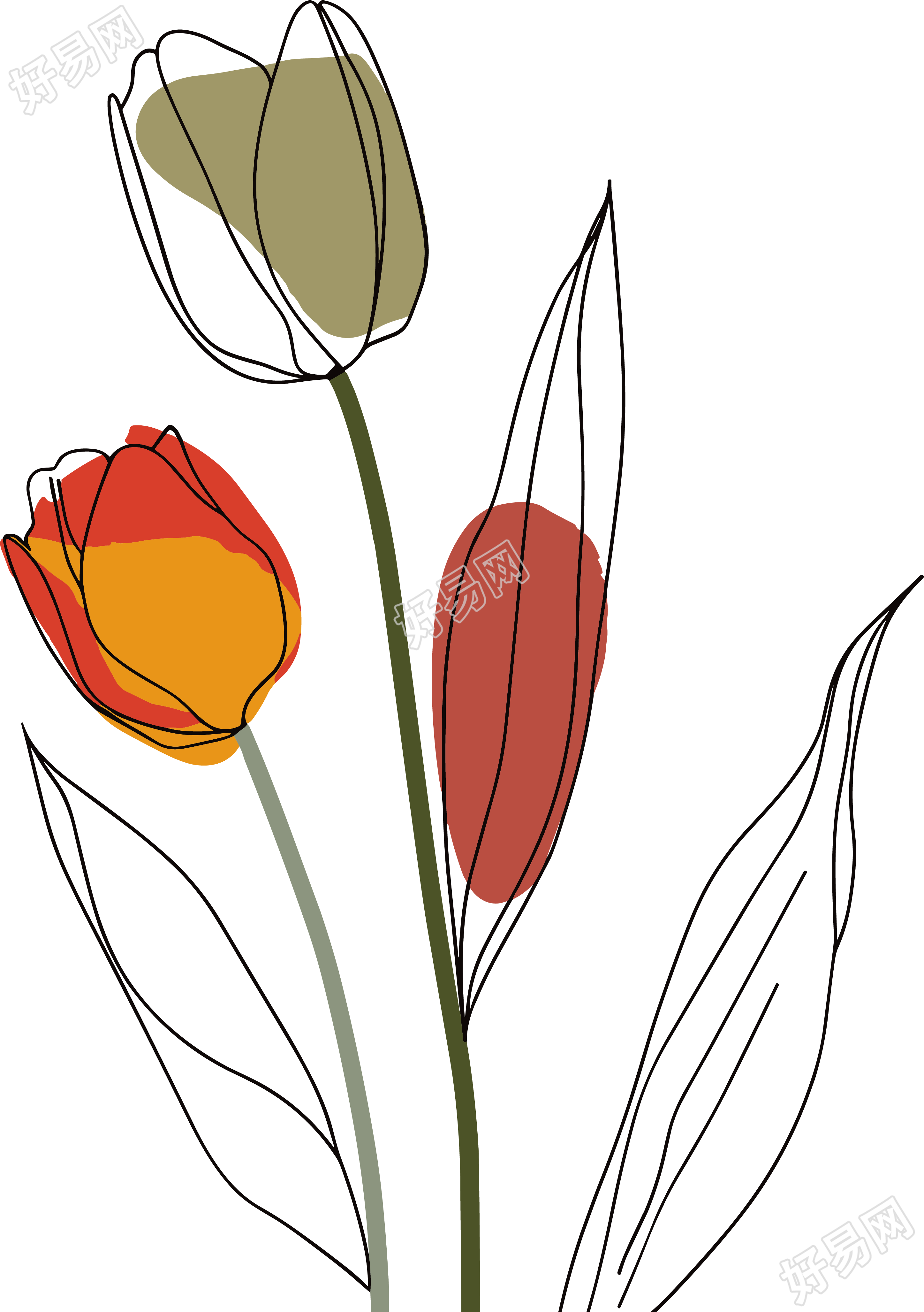 抽象植物插图素材