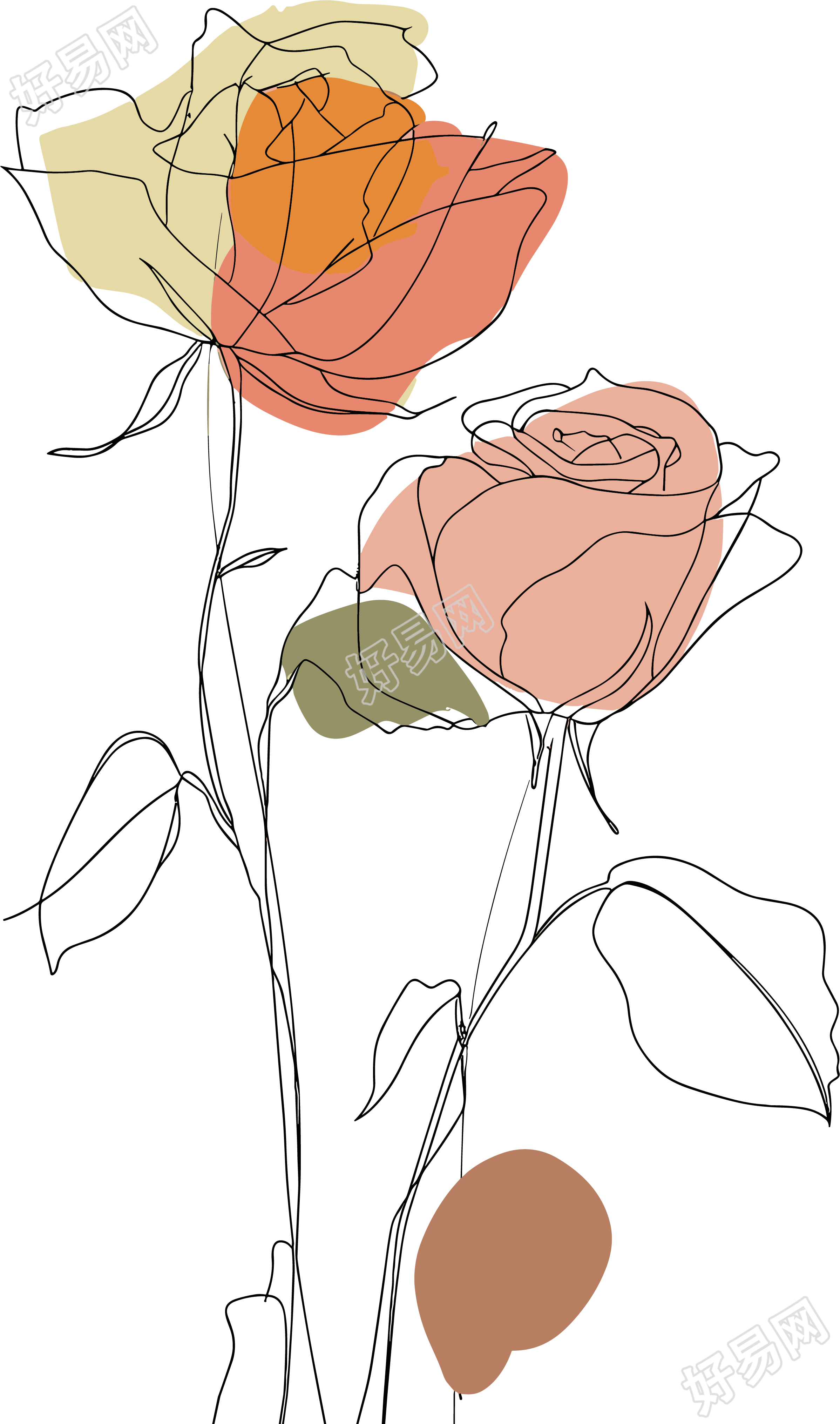 抽象植物PNG插图