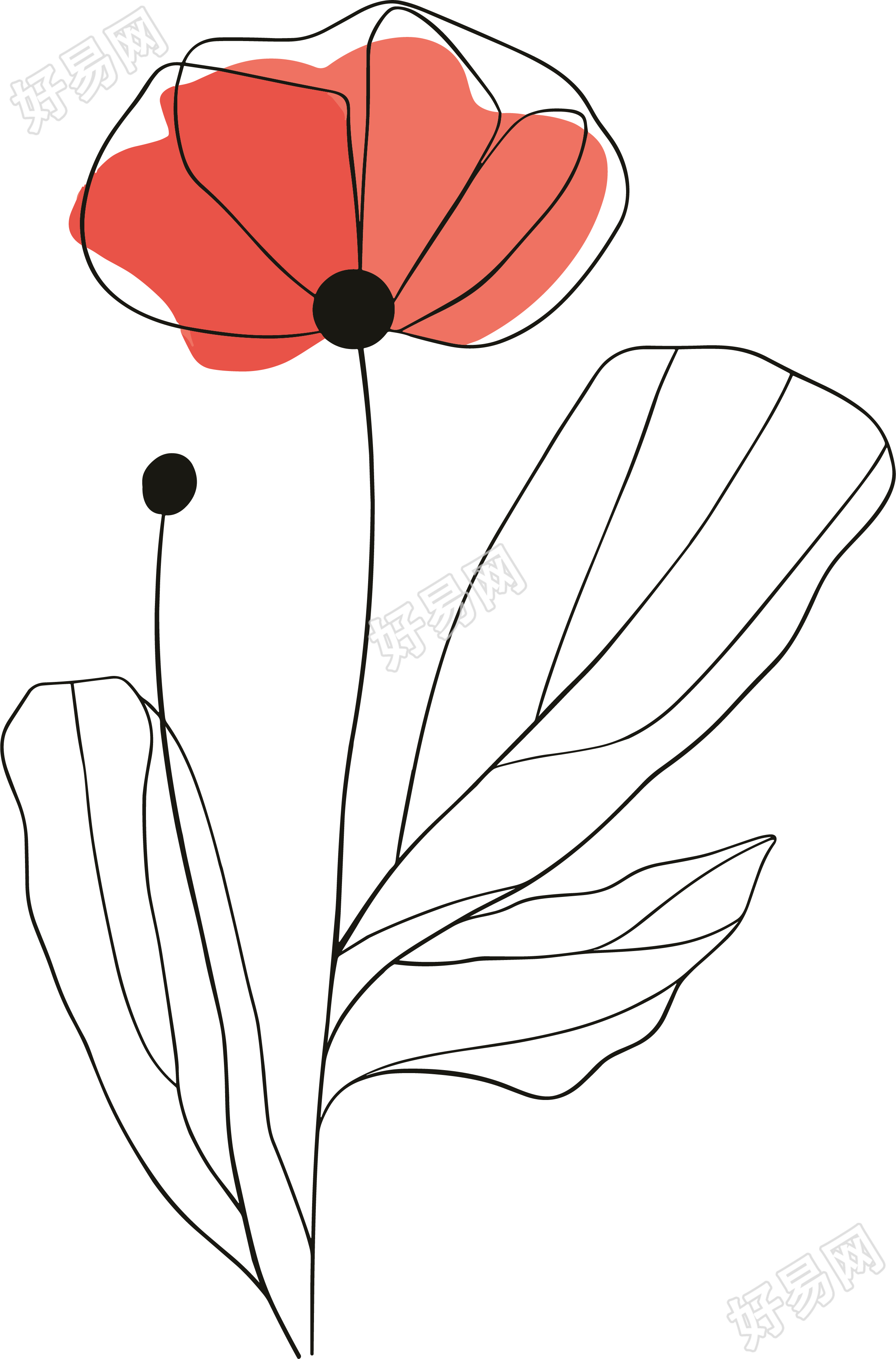 抽象植物高清插图