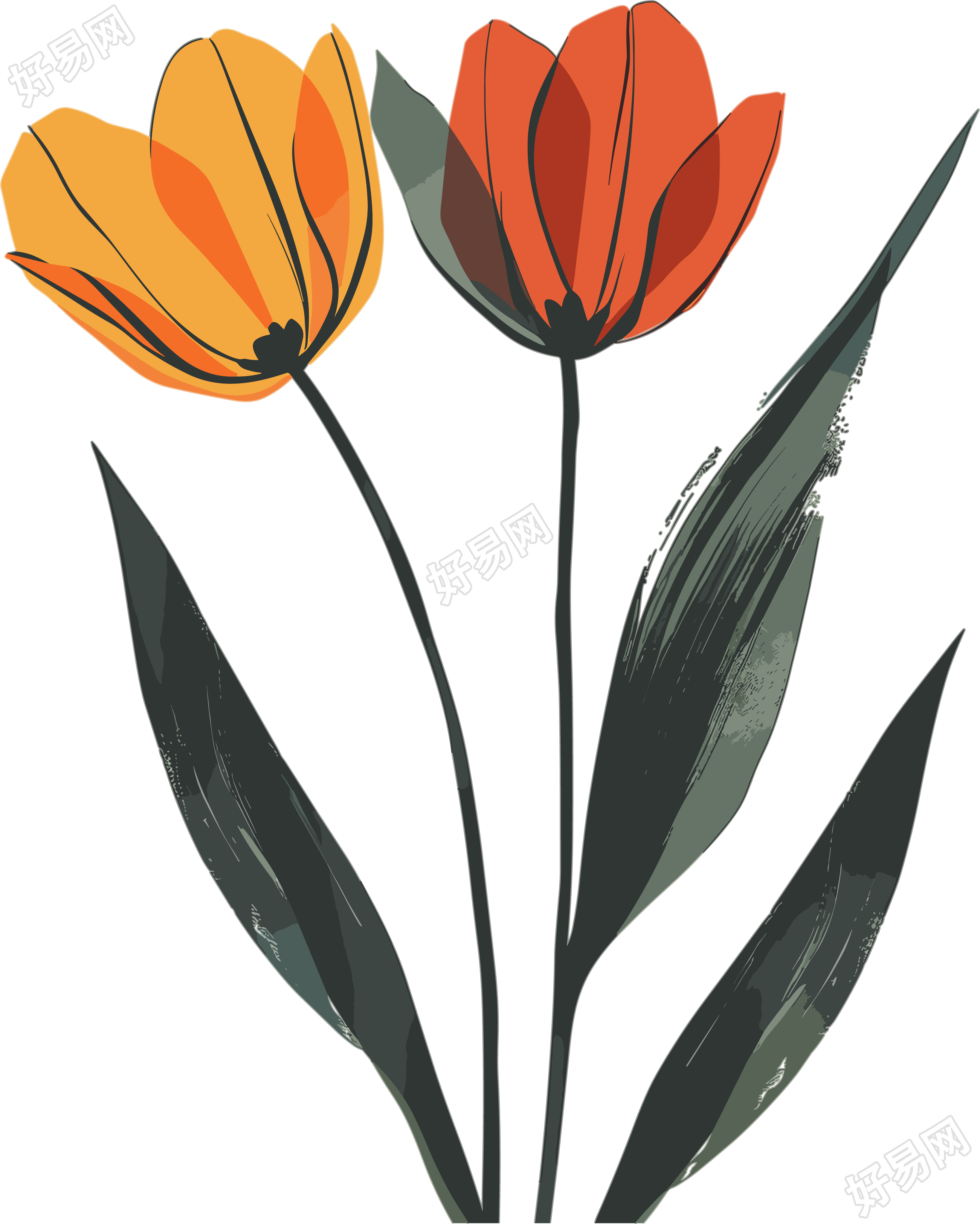 抽象植物两朵小花插画