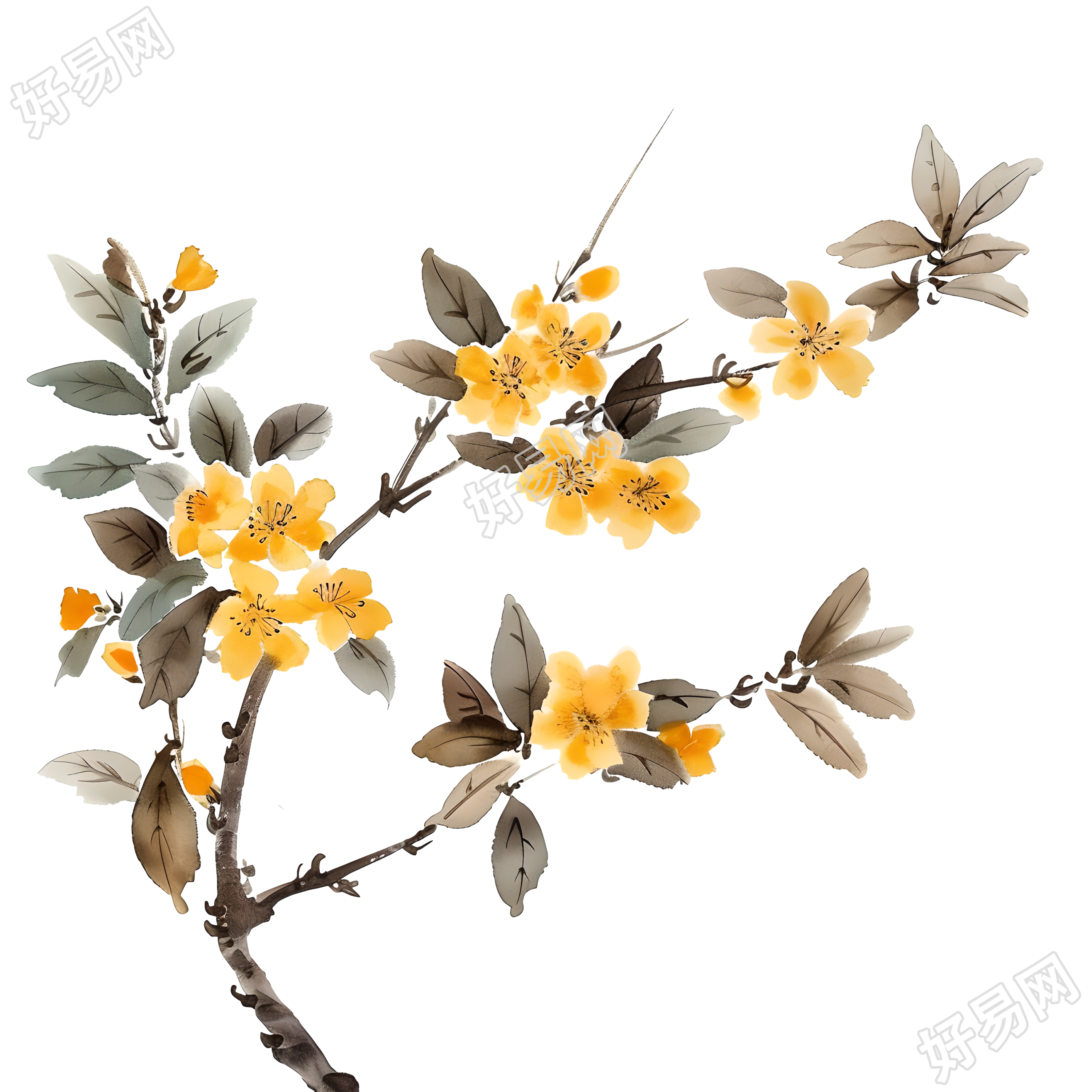 国风桂花插画