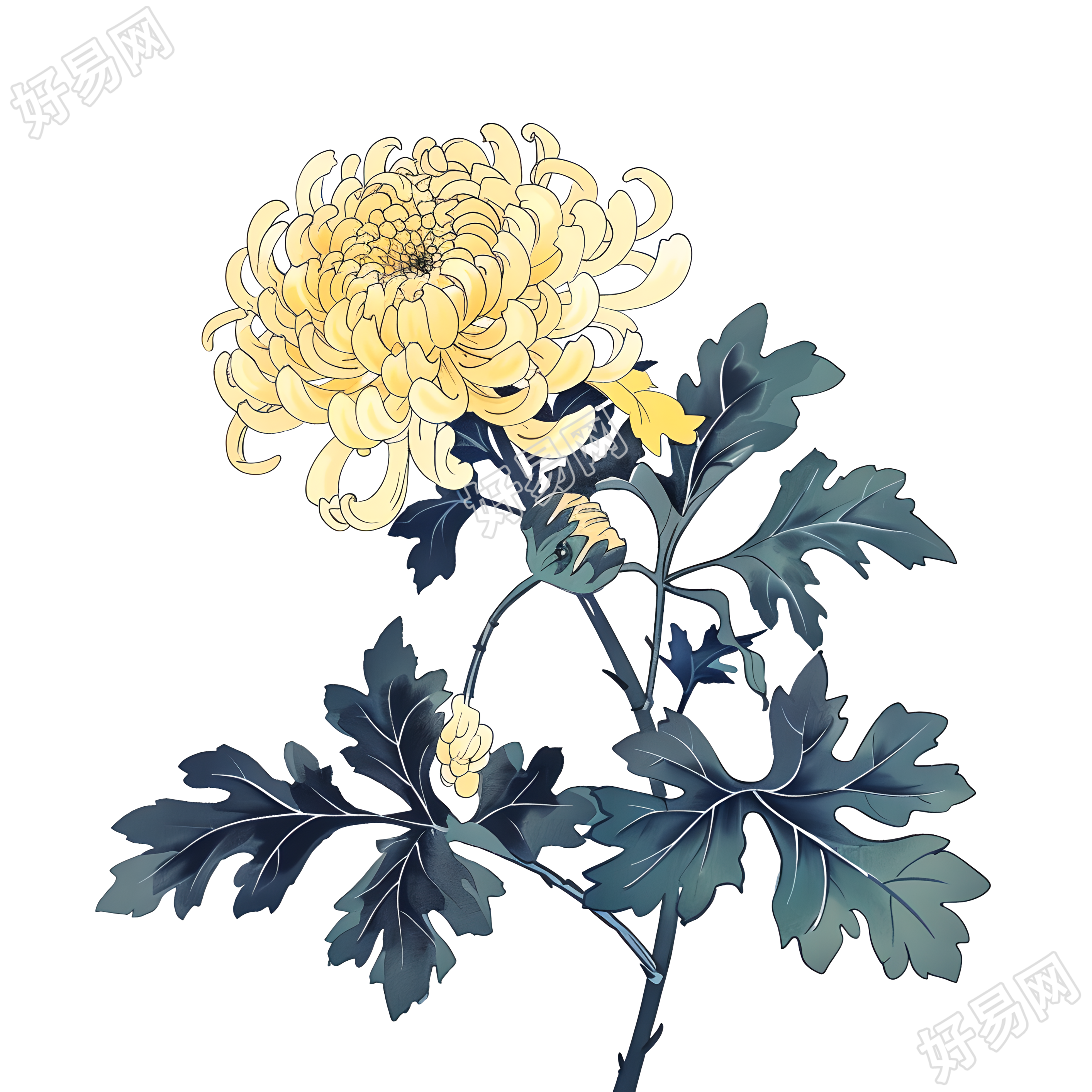 国风菊花创意素材