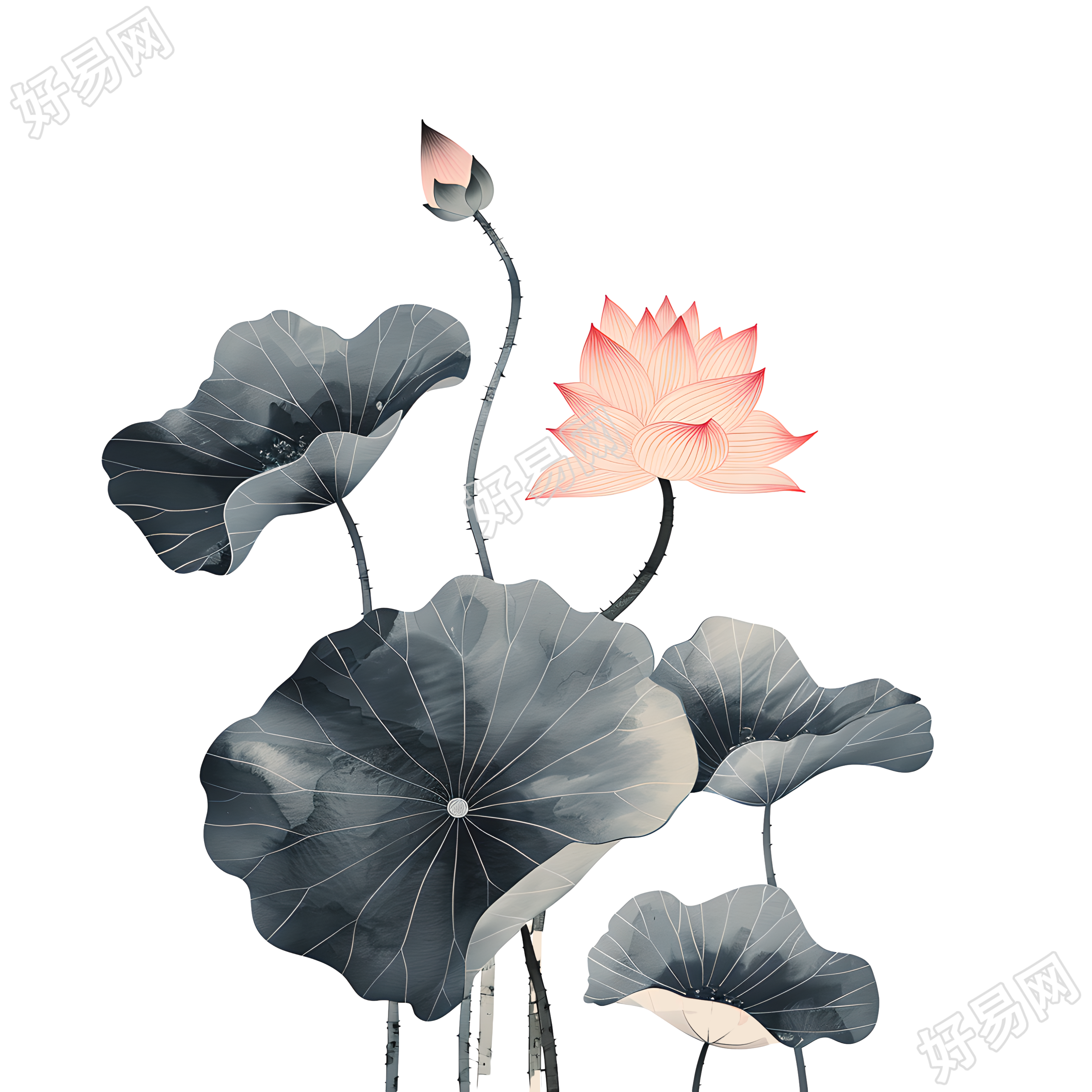 水墨荷花插画元素