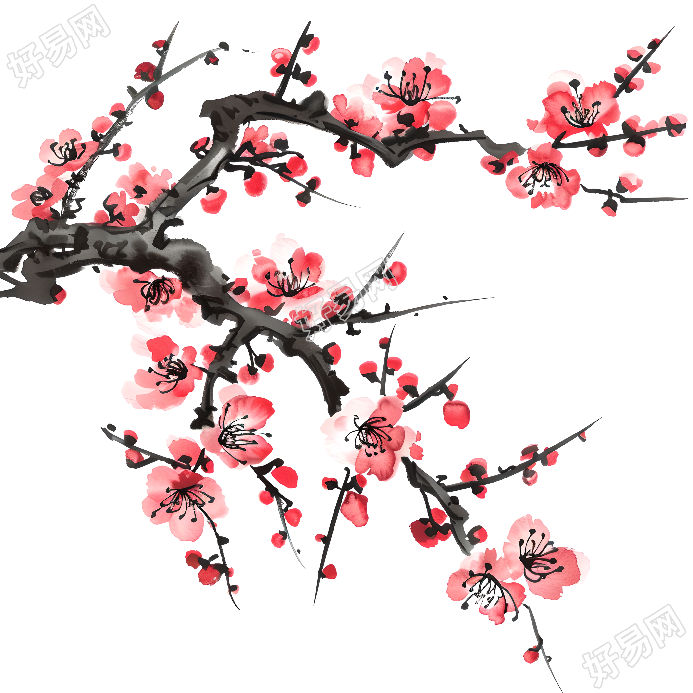 中国风梅花插画