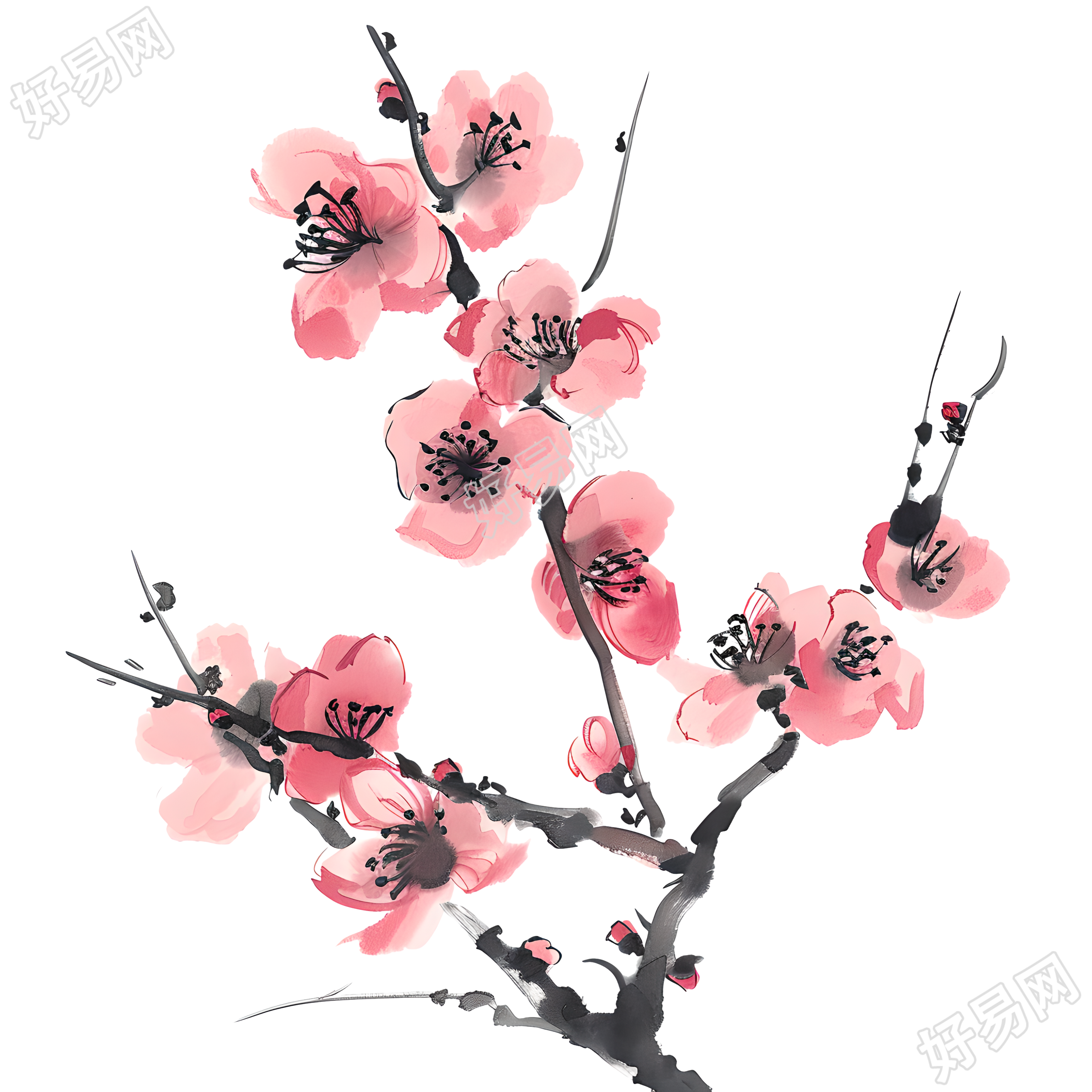 中国风梅花插图