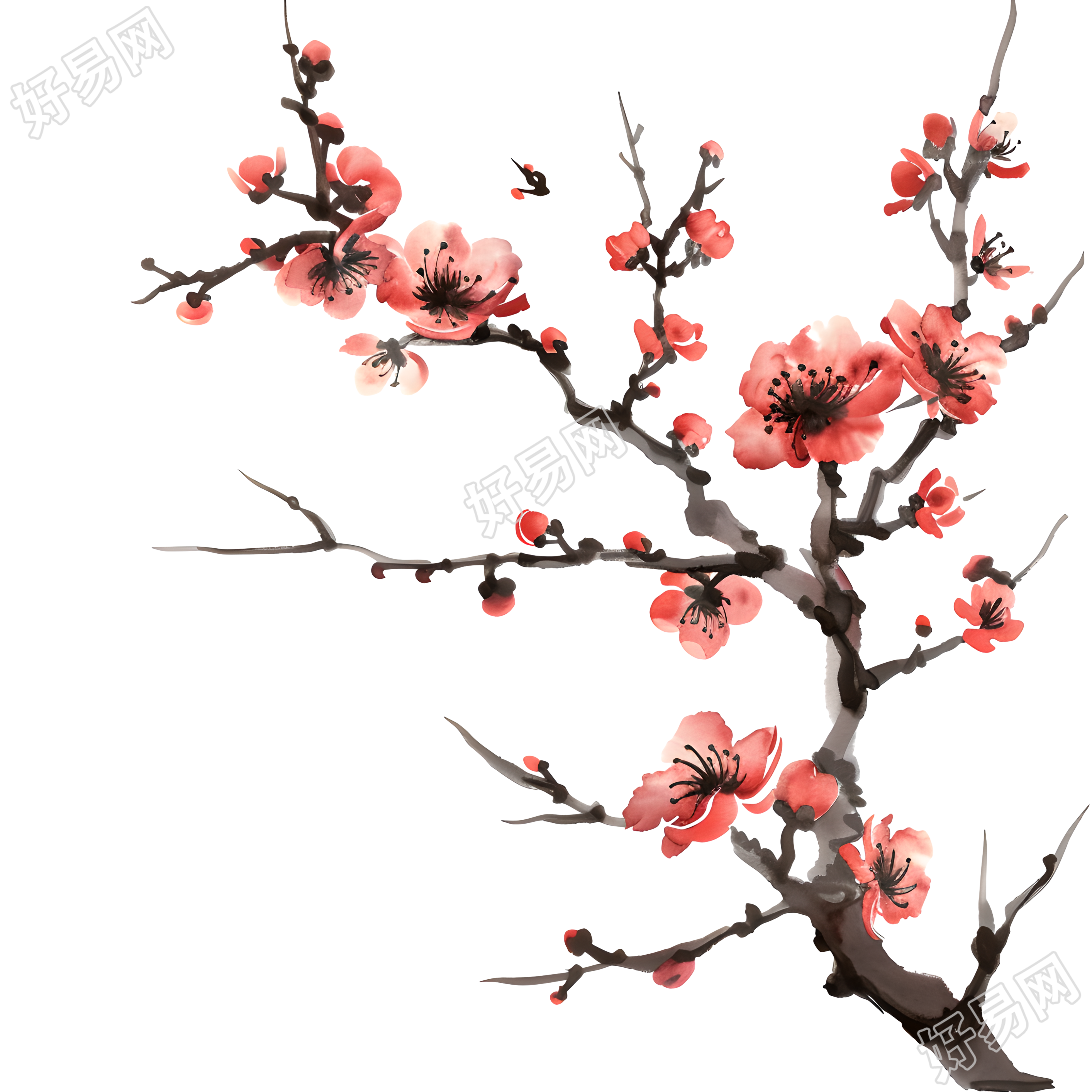 中国风梅花插画素材