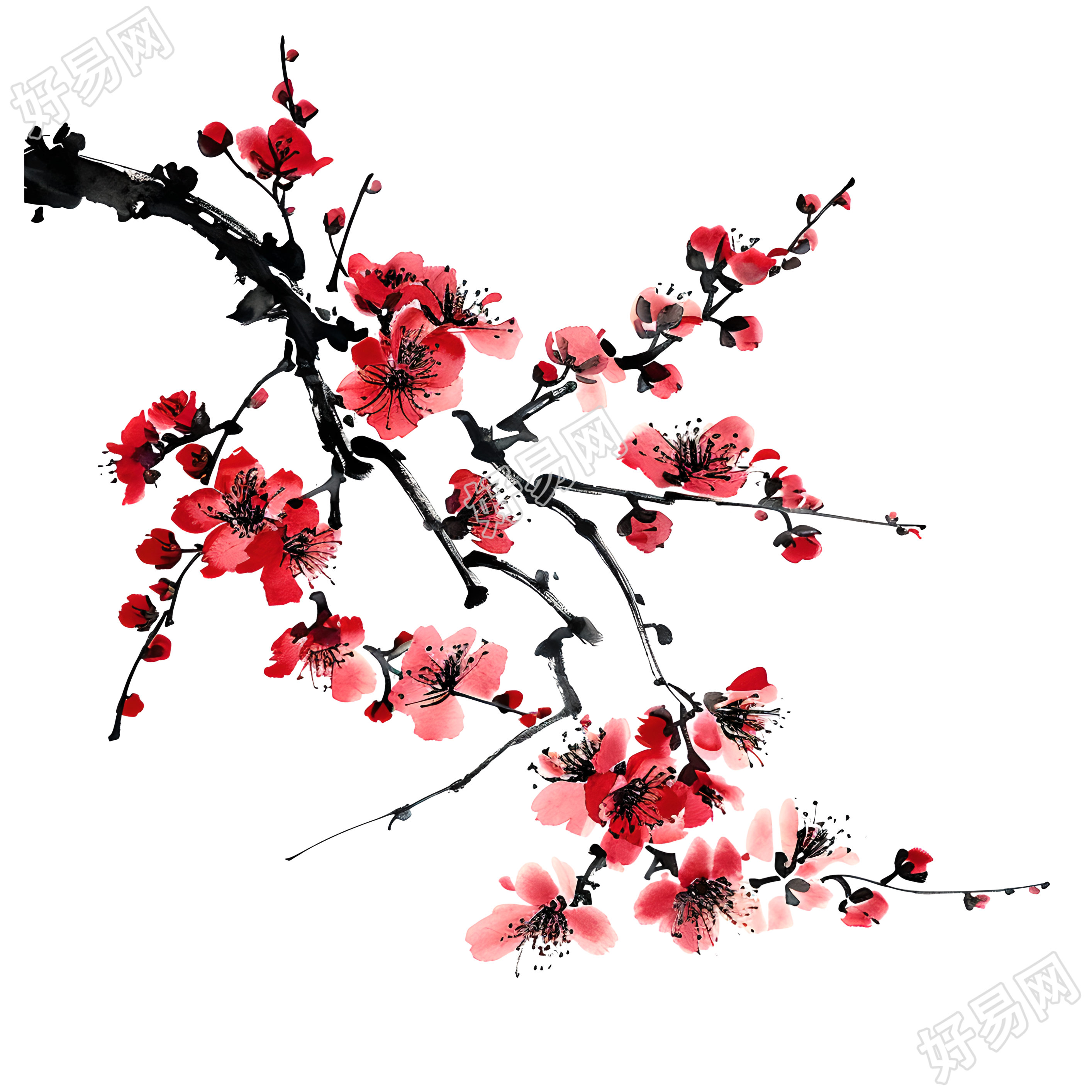 中国风梅花商用素材