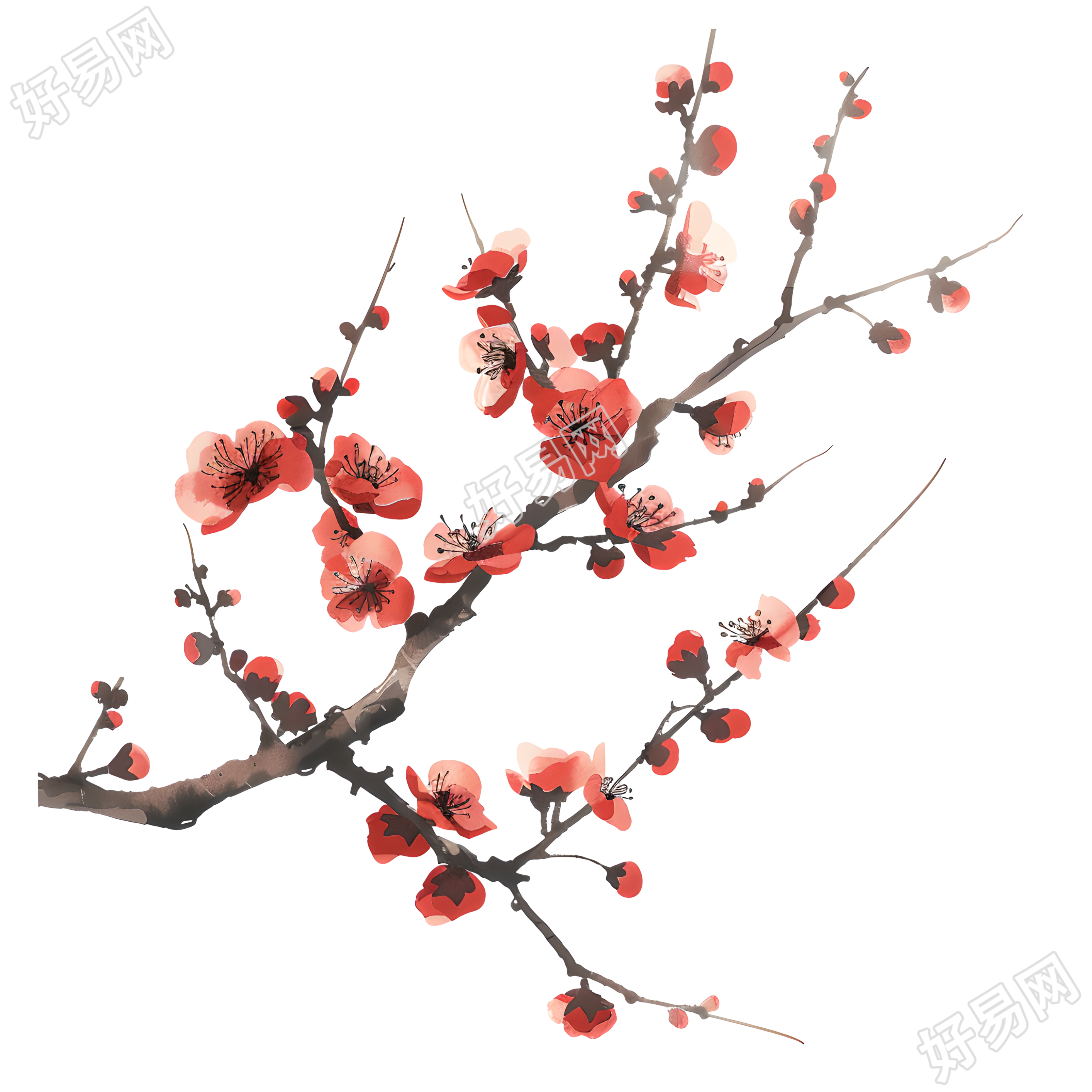 中国风梅花精美插图