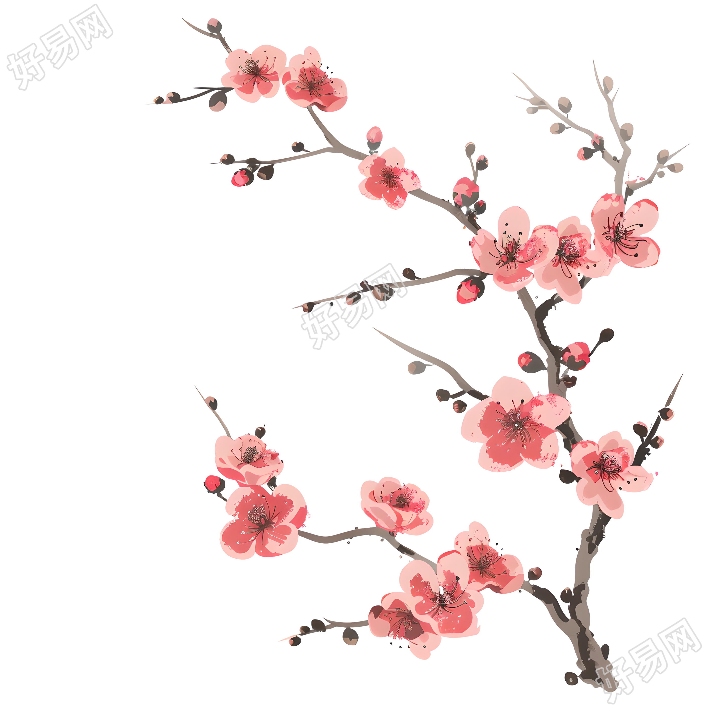 中国风梅花设计元素