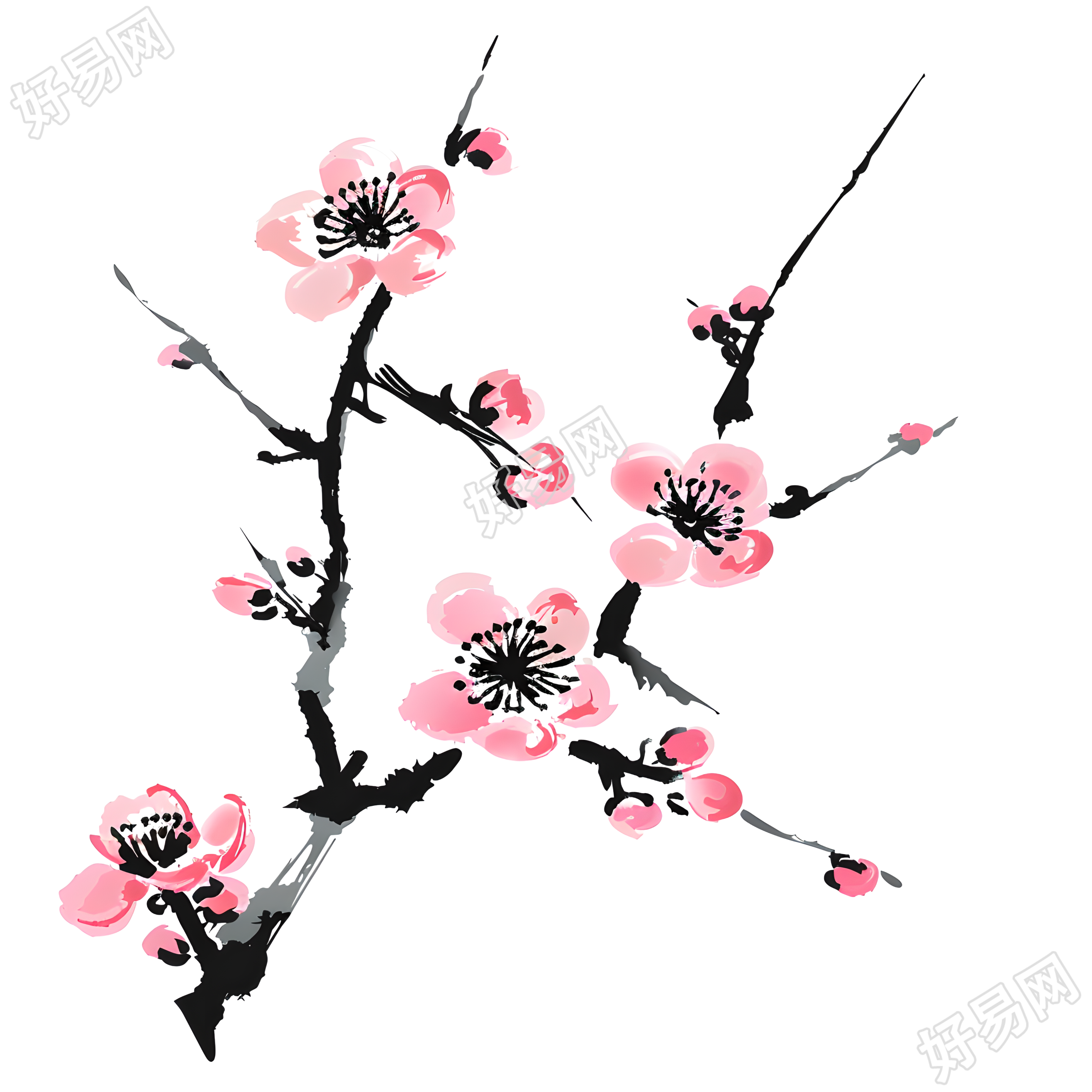 中国风梅花商用插画