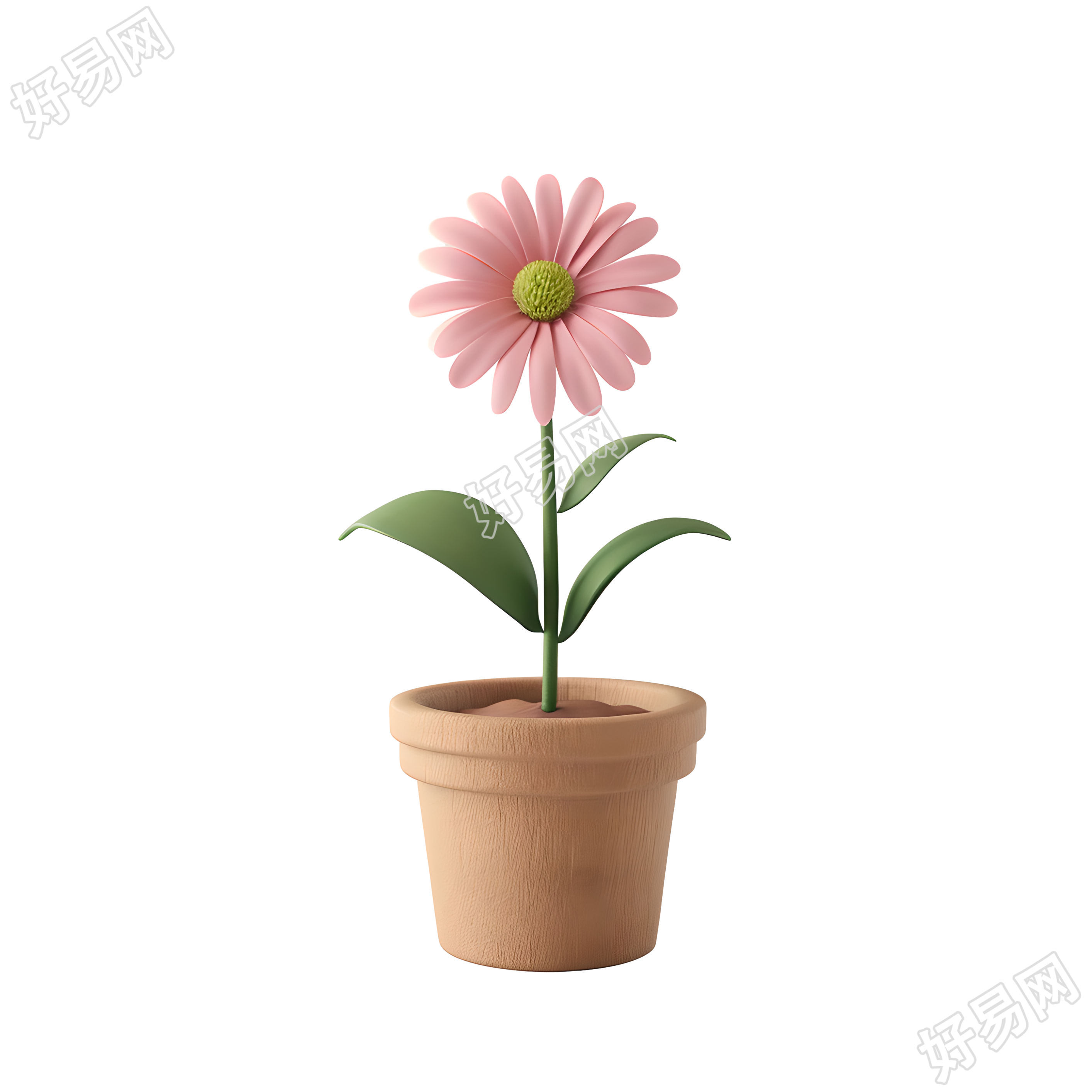3D花卉商业插画设计
