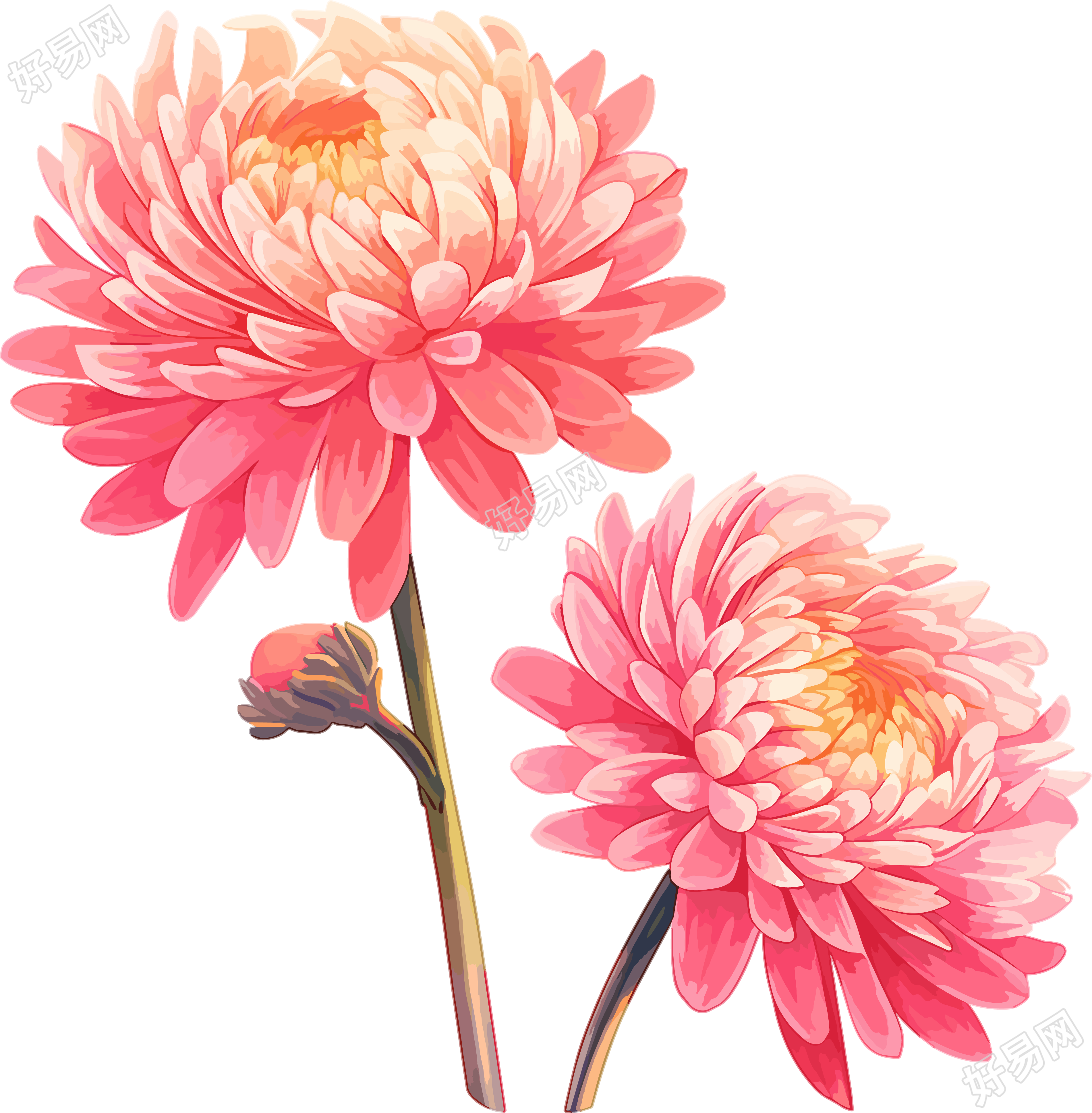 花朵平面插画