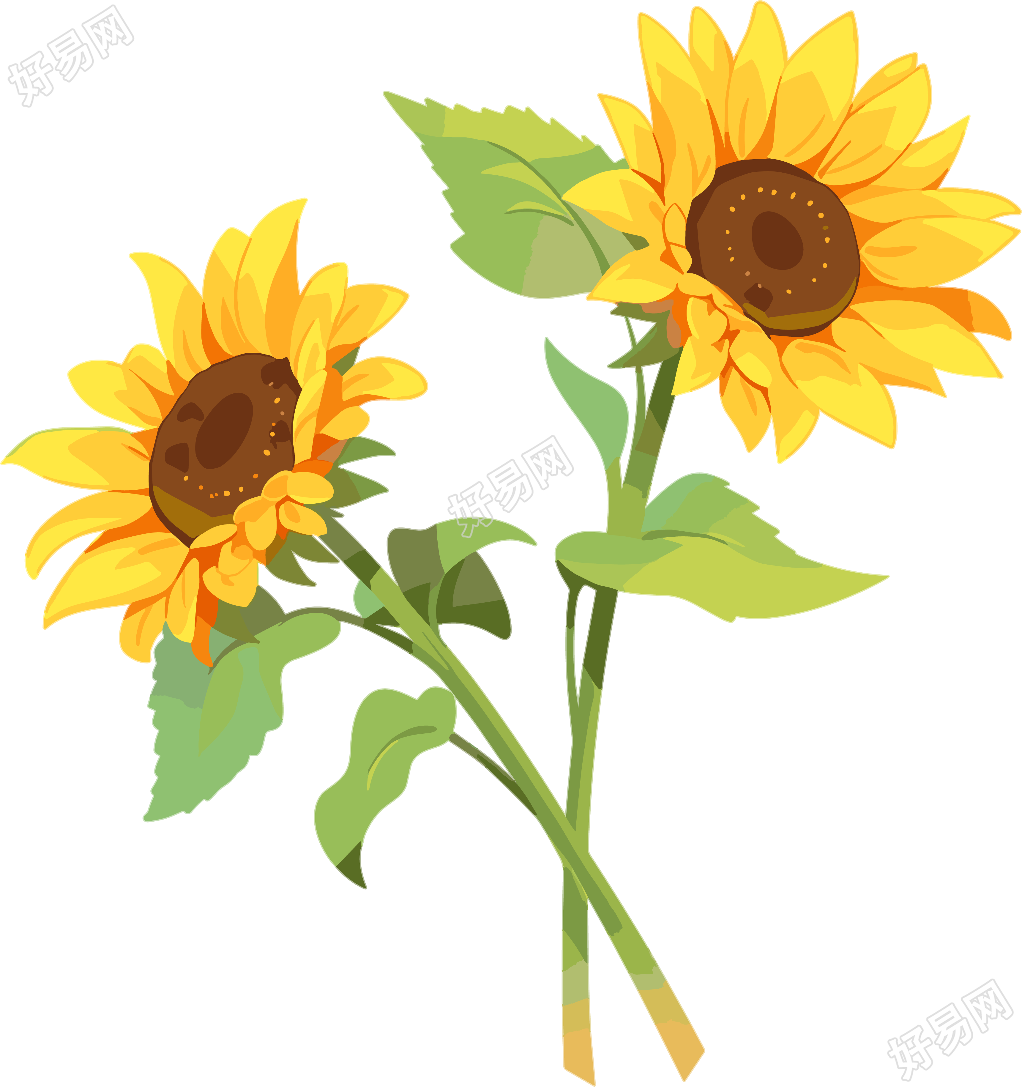花朵平面插画素材