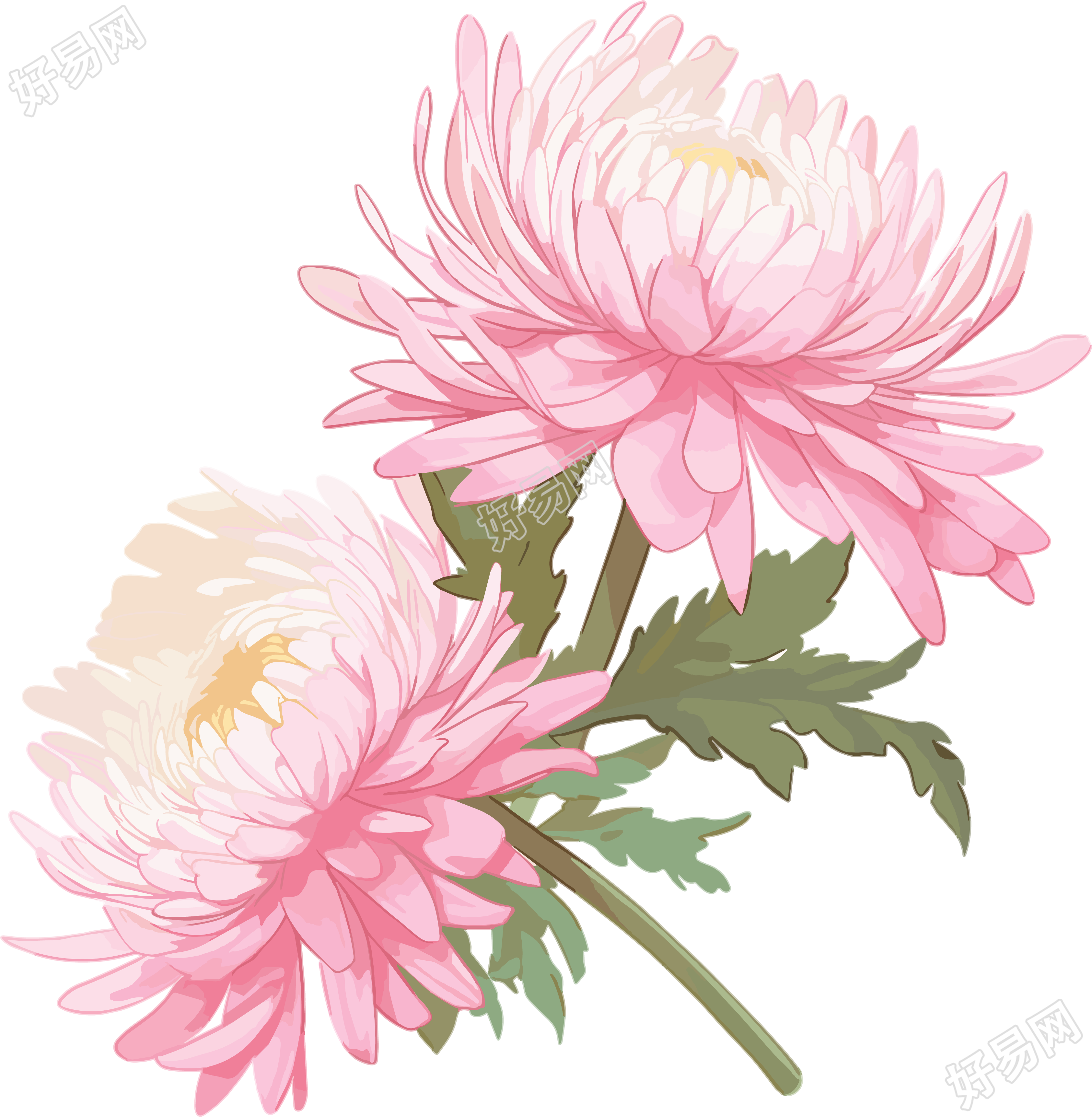 花朵商业设计元素